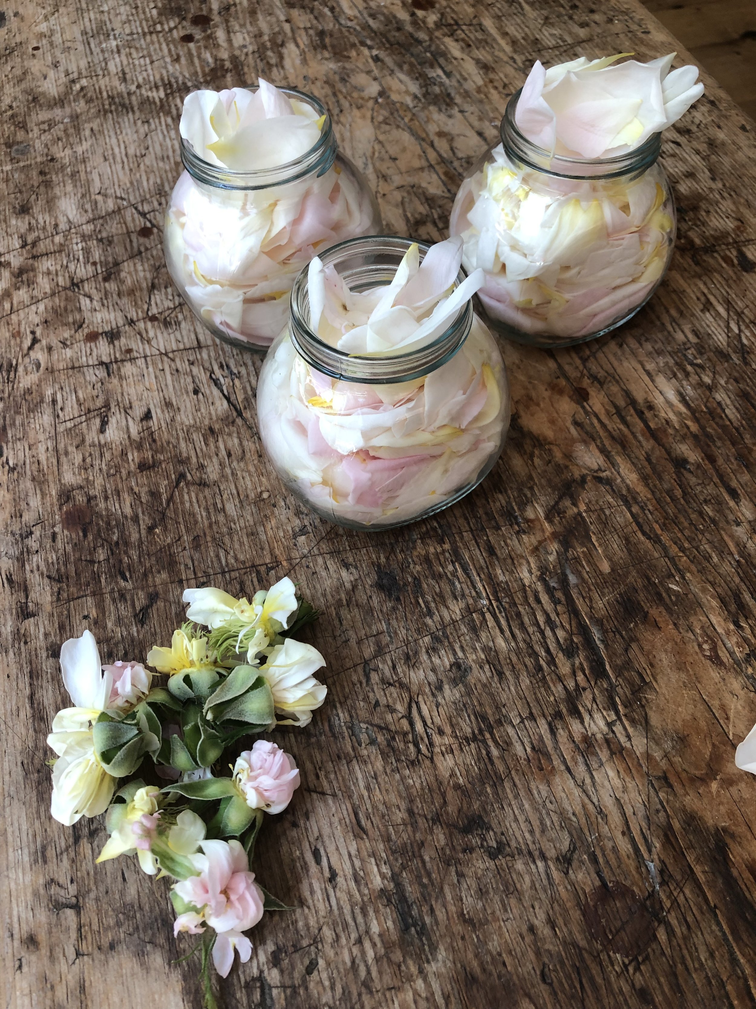 website flowers three.jpg