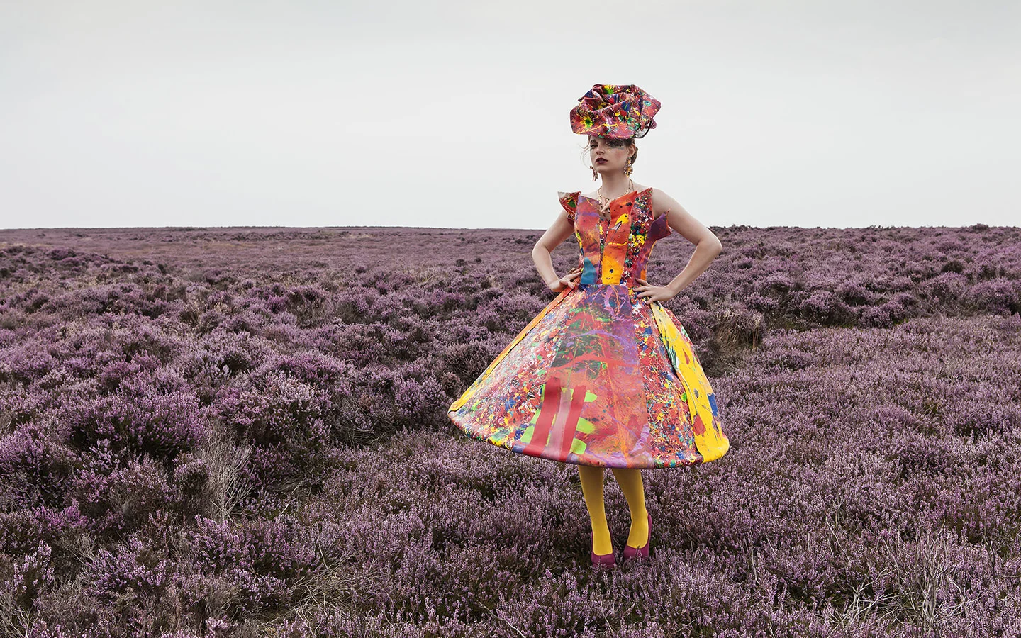 Purple Heather - North Yorkshire Moors