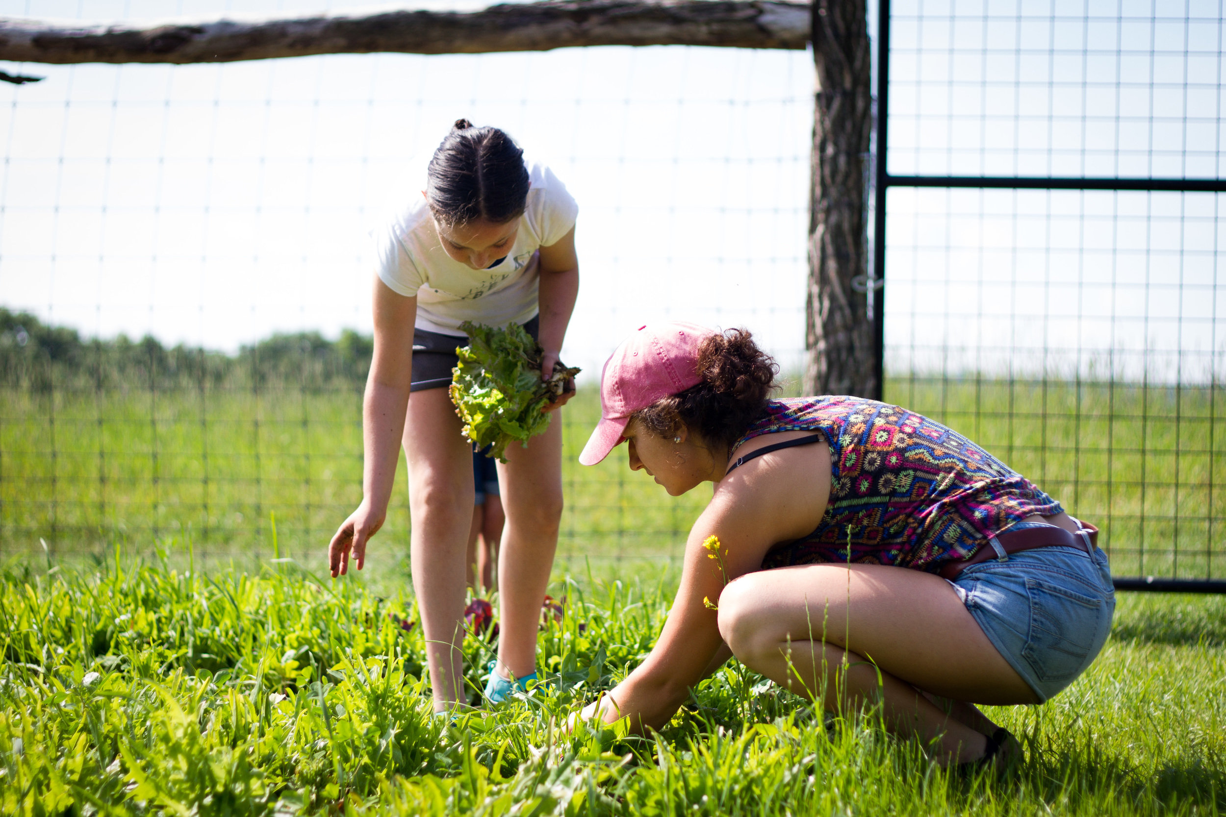 Farm&Garden-8.jpg