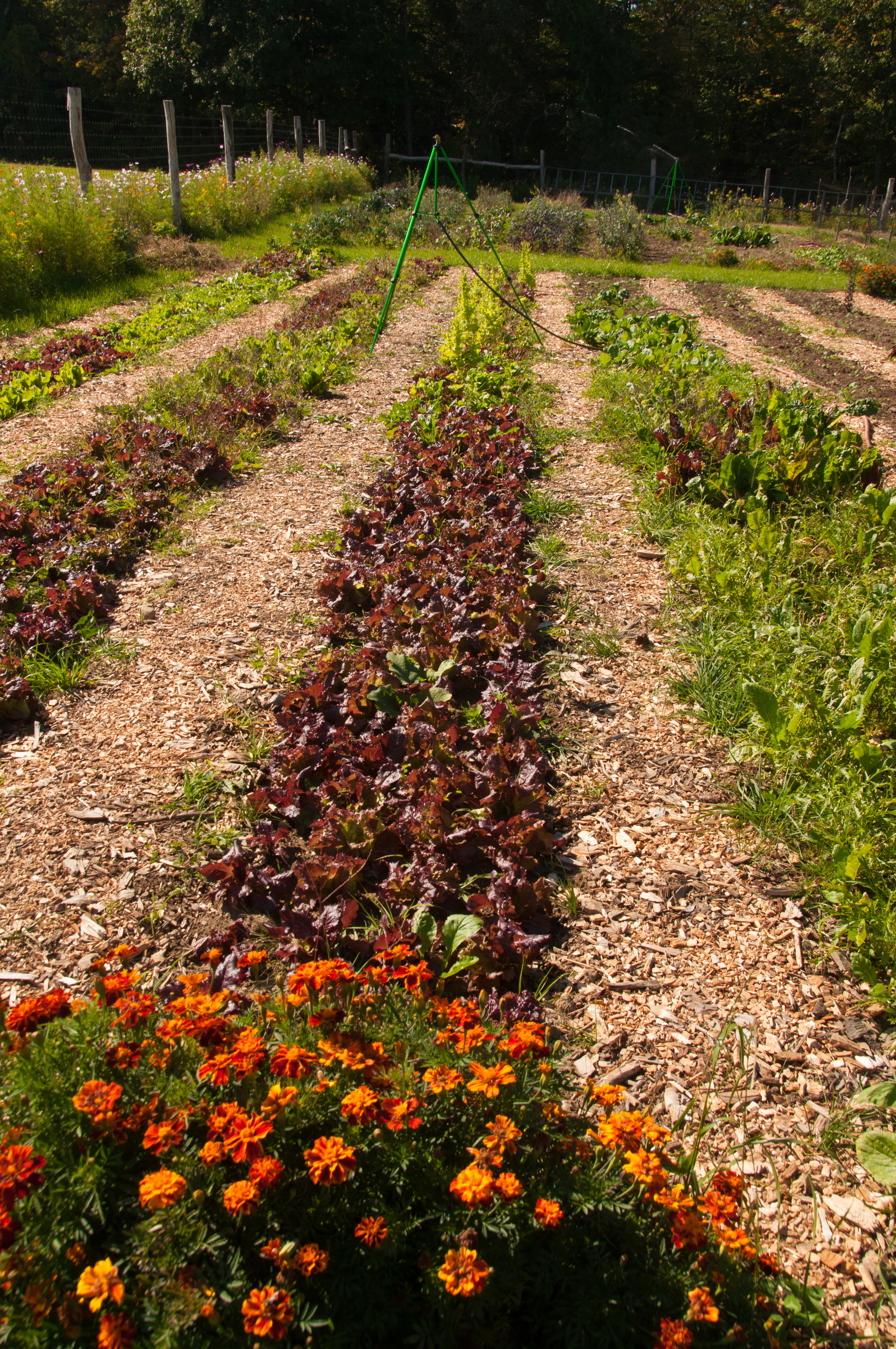 Farm&Garden-36.jpg