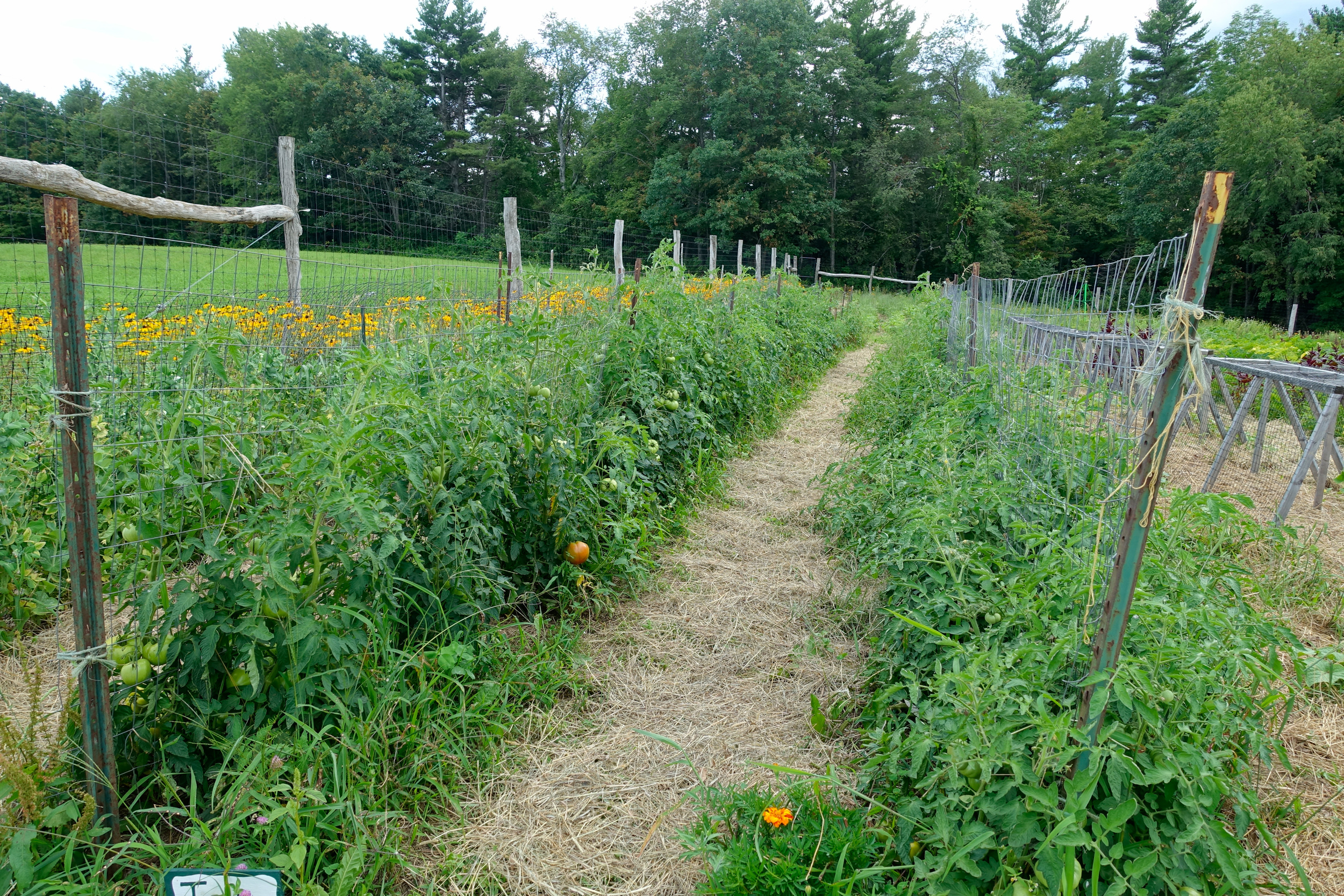 Farm&Garden-68.jpg