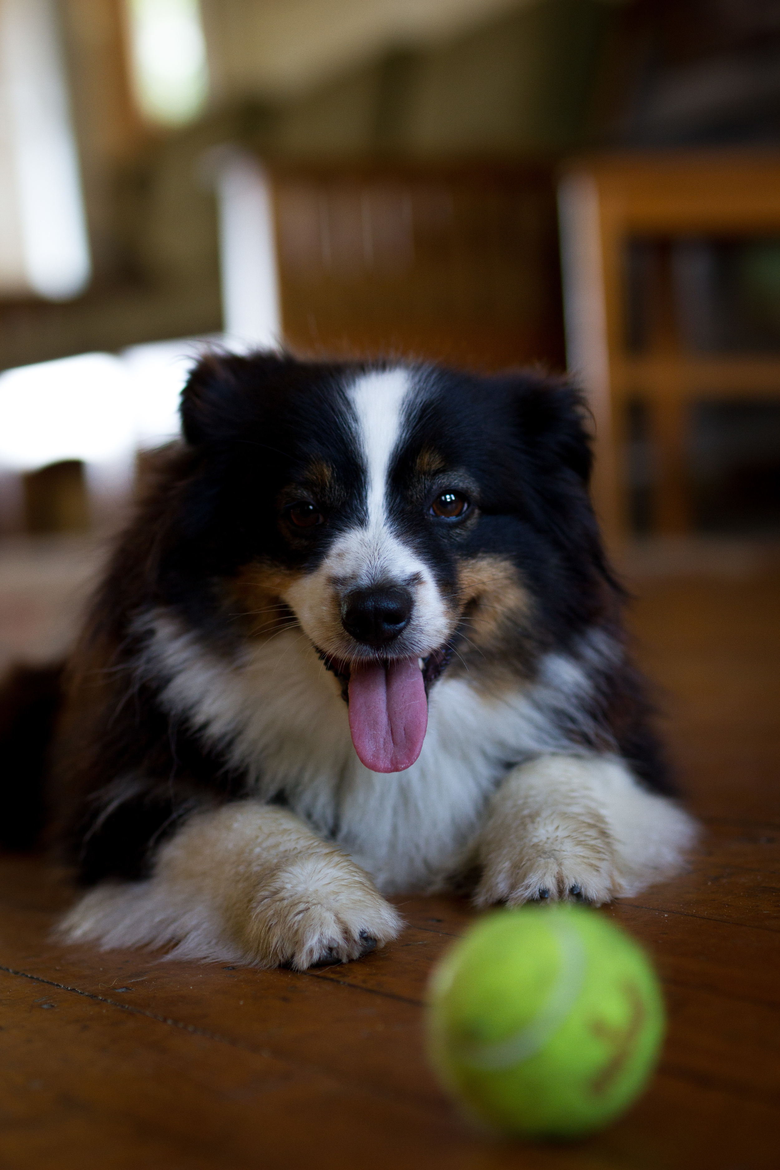 Bodhi-4.jpg