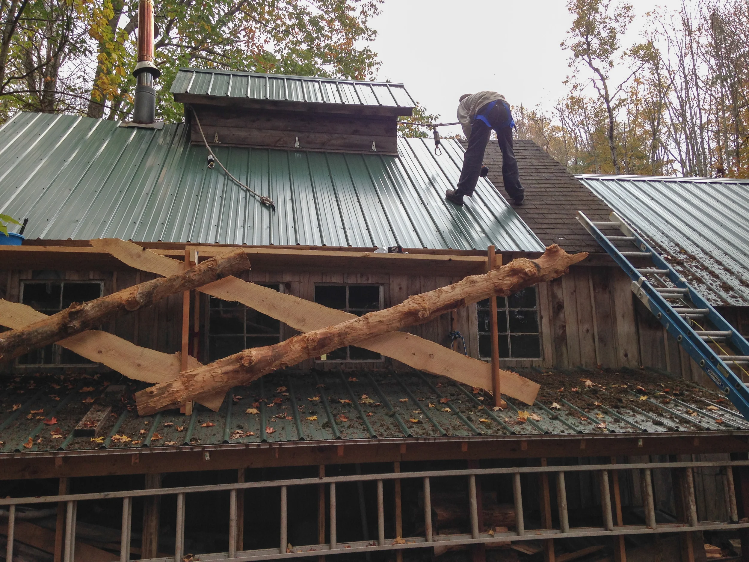 SugarRoof-2.jpg