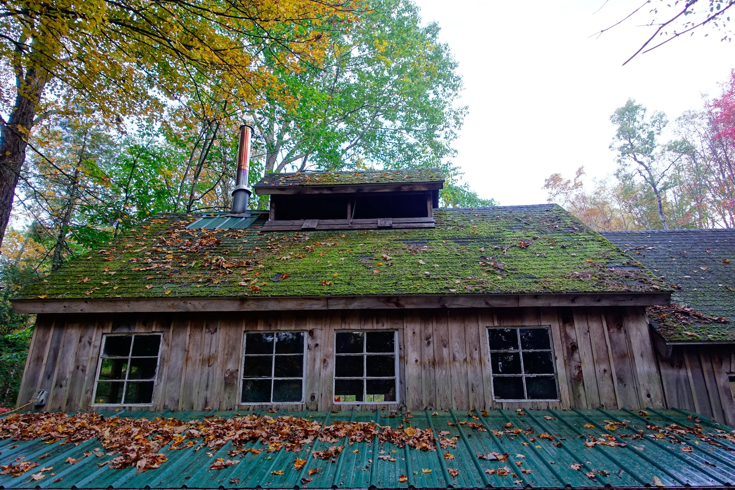 SugarRoof-1.jpg