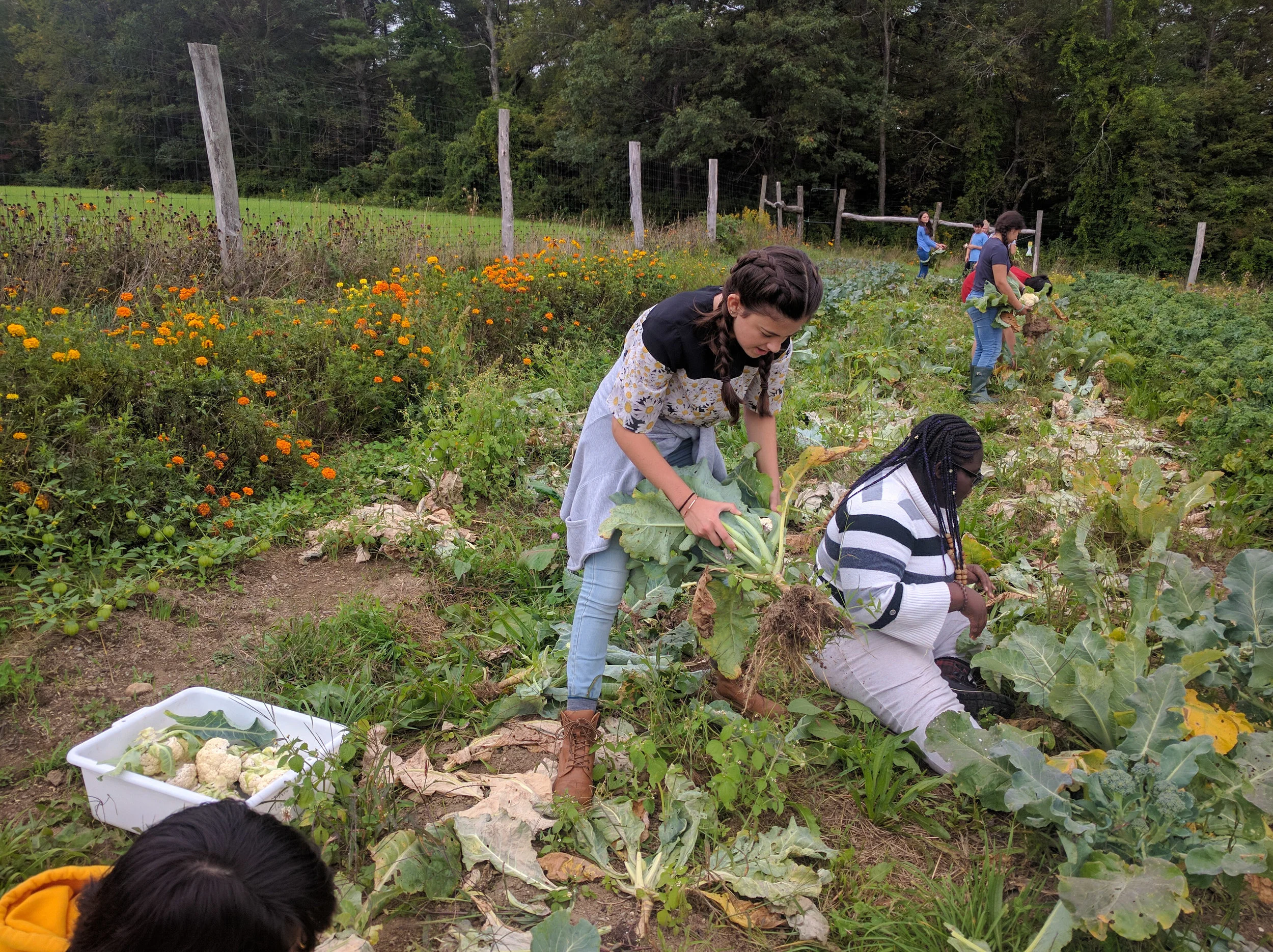 2017-09-15_8thGradeCOA-79.jpg