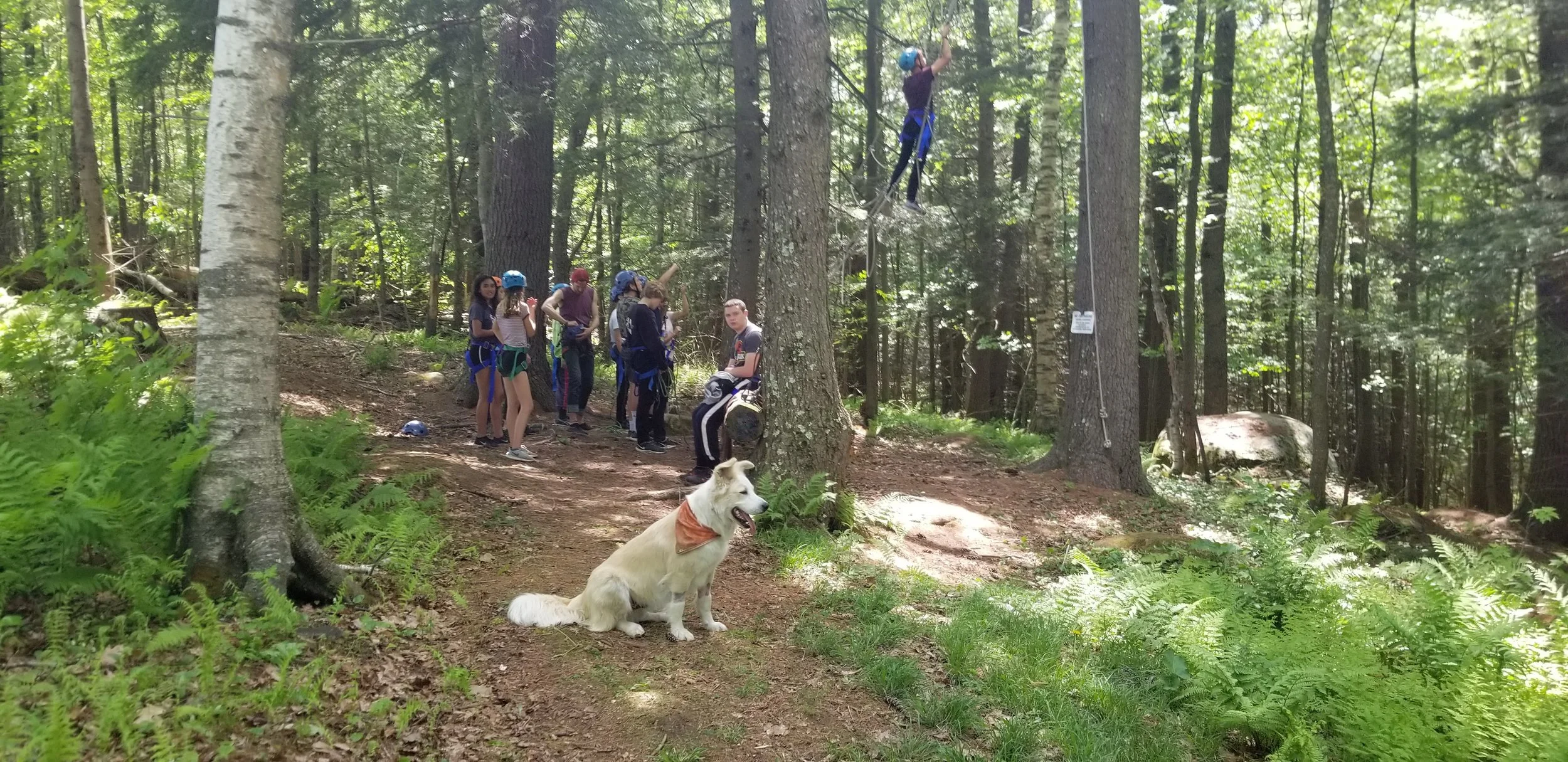 20180529_135131.jpg