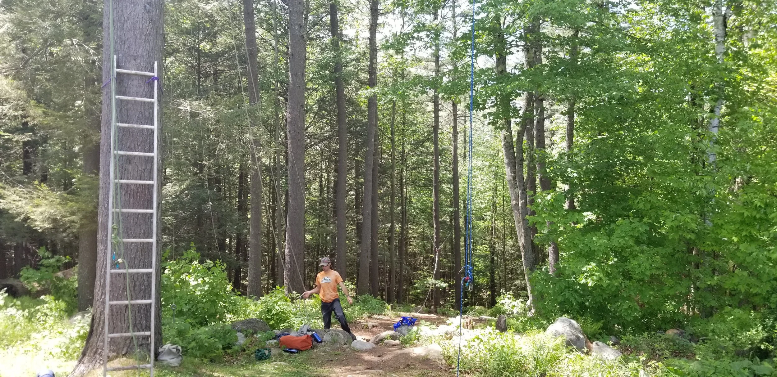 20180529_135116.jpg