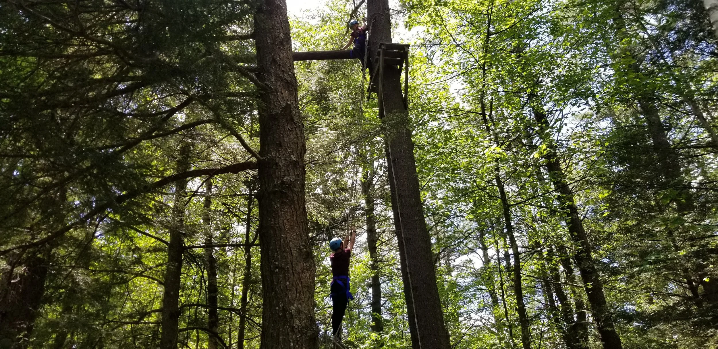 20180529_135148.jpg