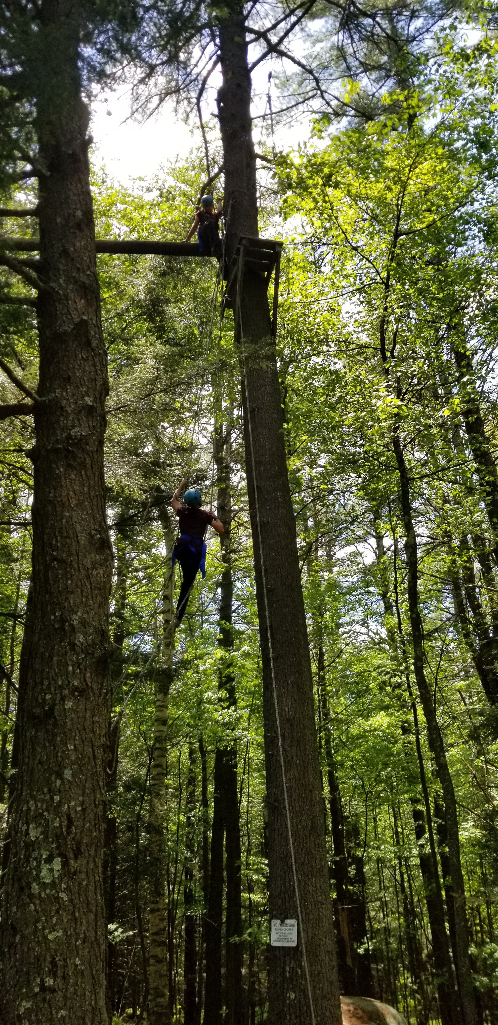 20180529_135151.jpg