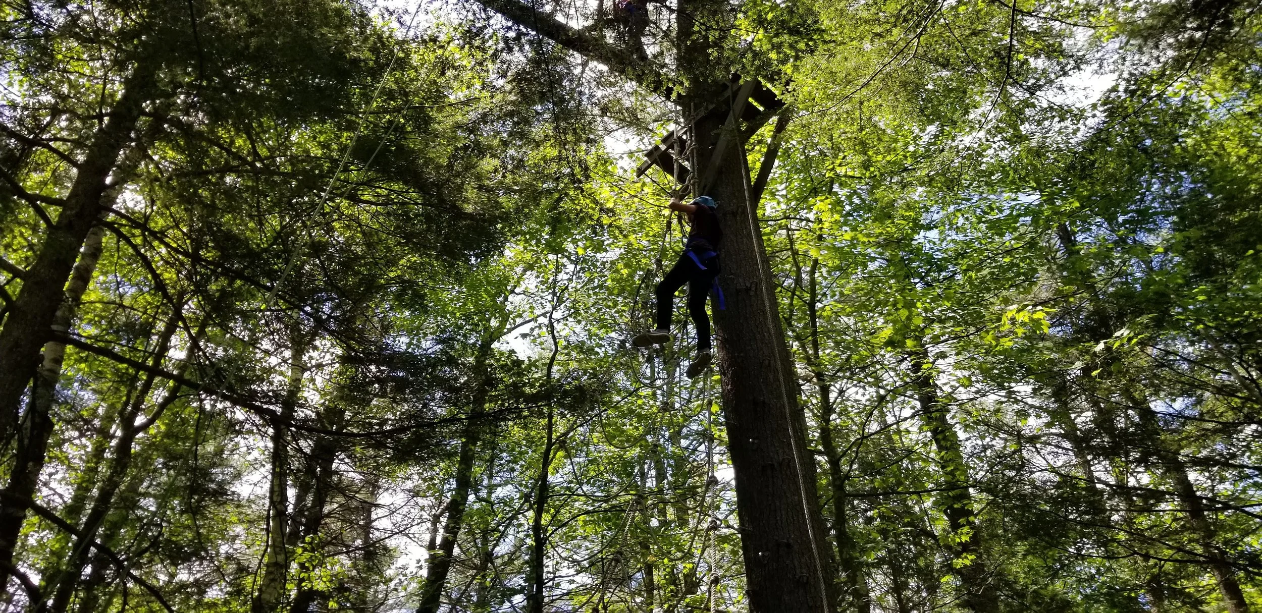20180529_135220.jpg