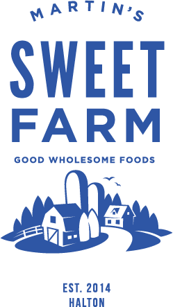 logo.png