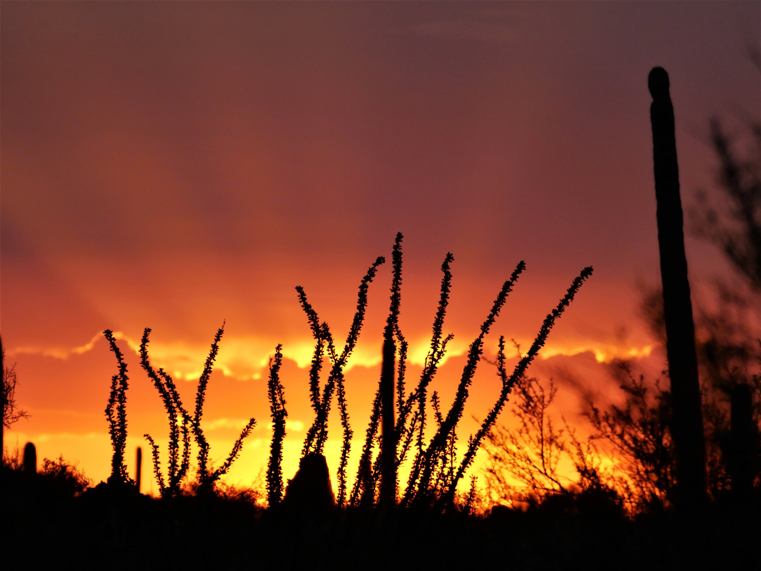 Radio Airplay for "Sonoran March".