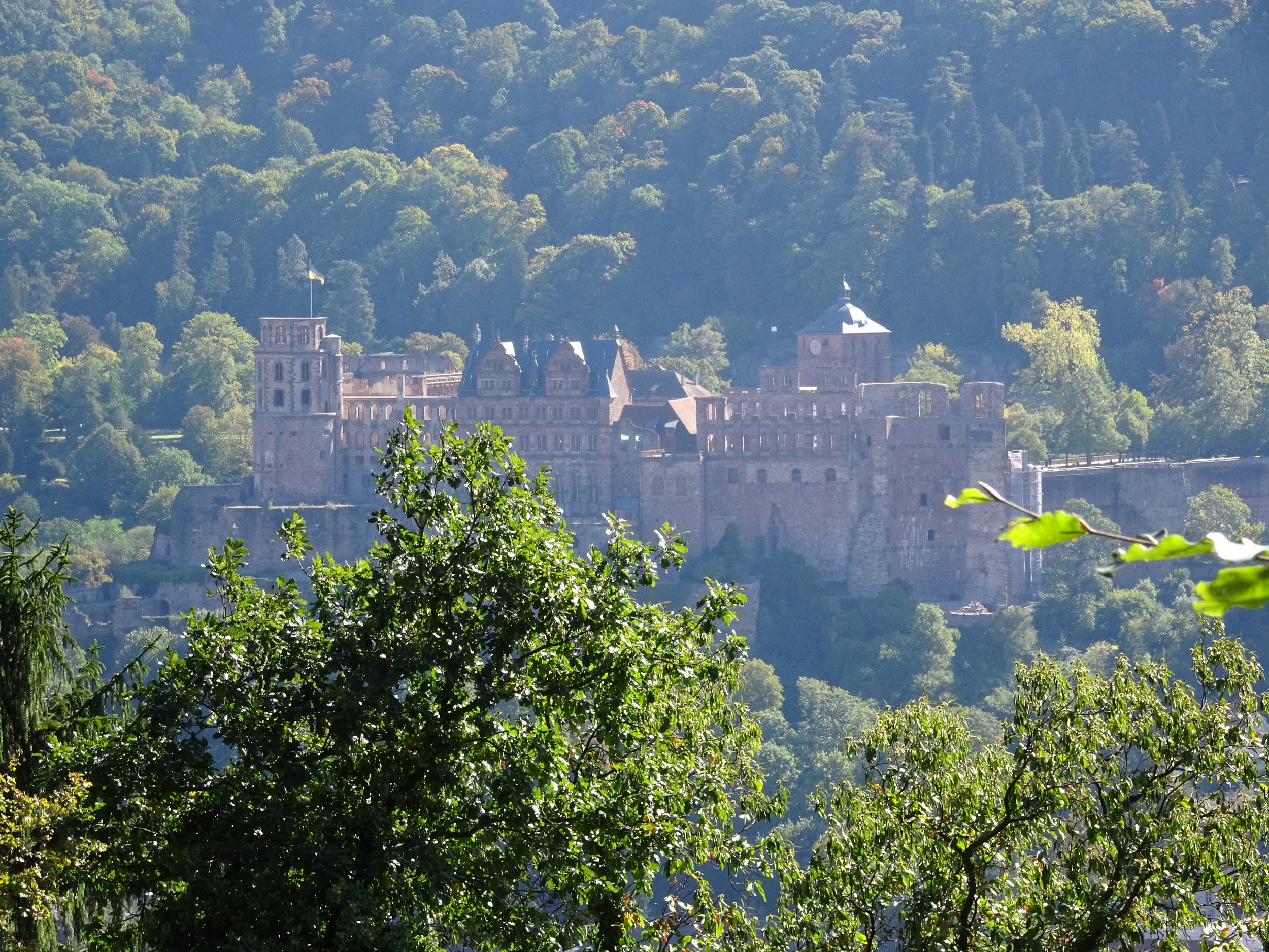 View of Heidelberg Castle