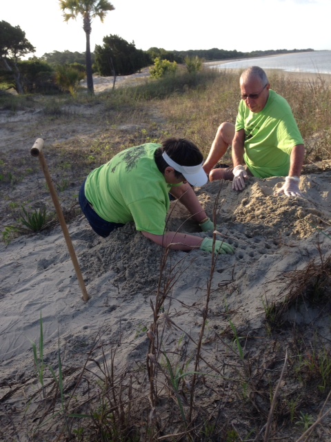 nest # 8  eileen and bob.JPG