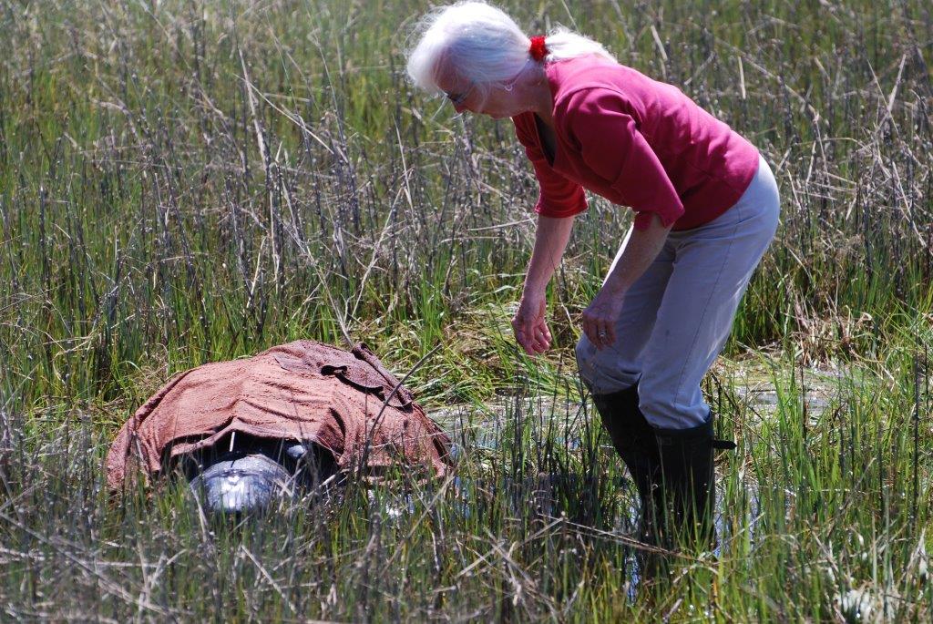 Lynda Fox helping keep the Leatherback cool