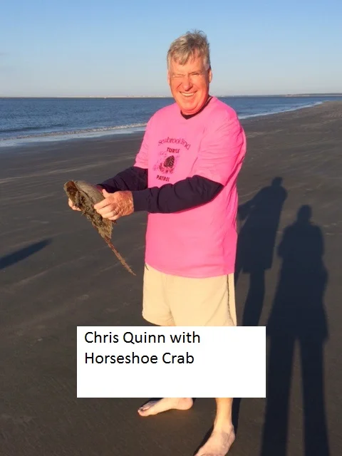 Horseshoe Crab.jpg