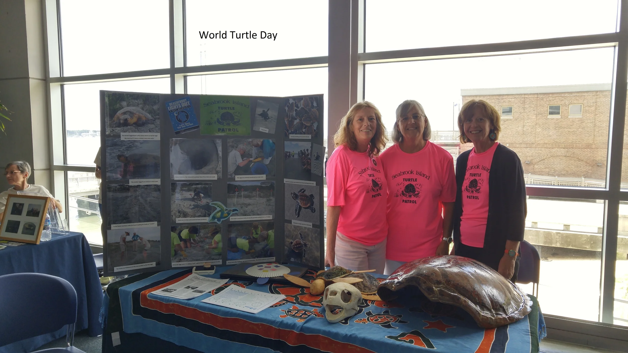 World Turtle Day 5-16.jpg