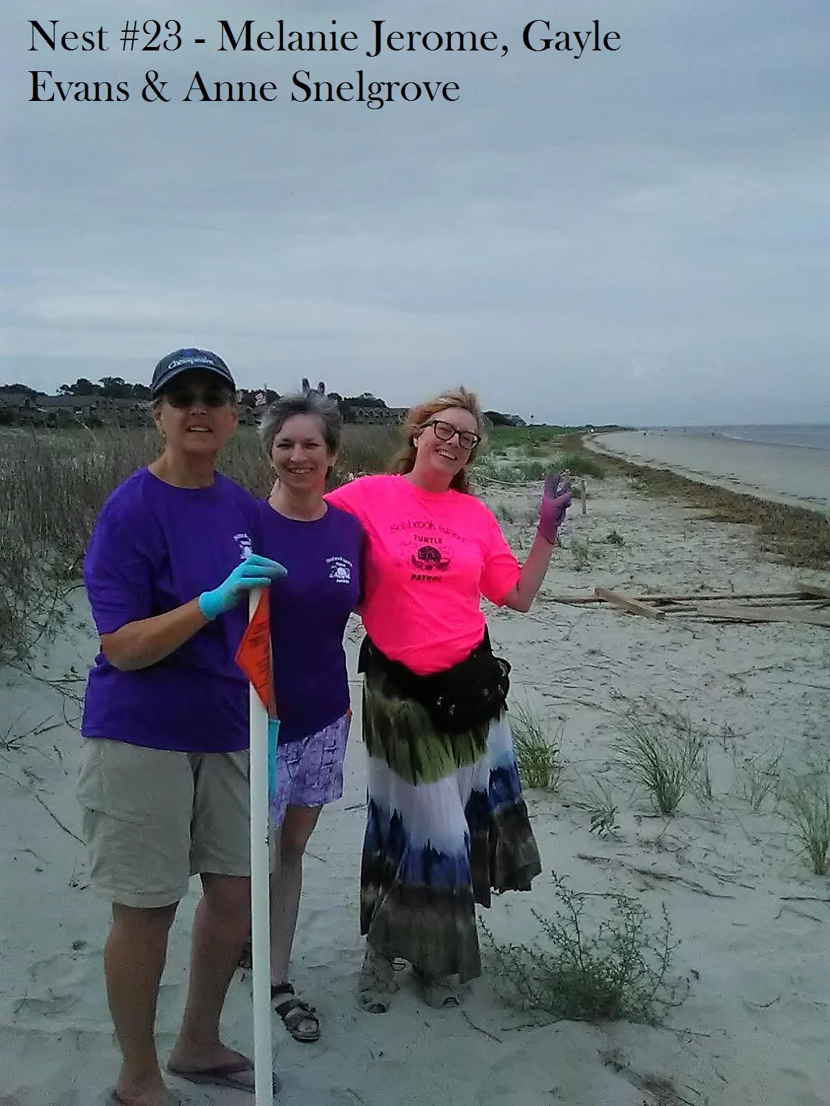 nest #23 17.jpg