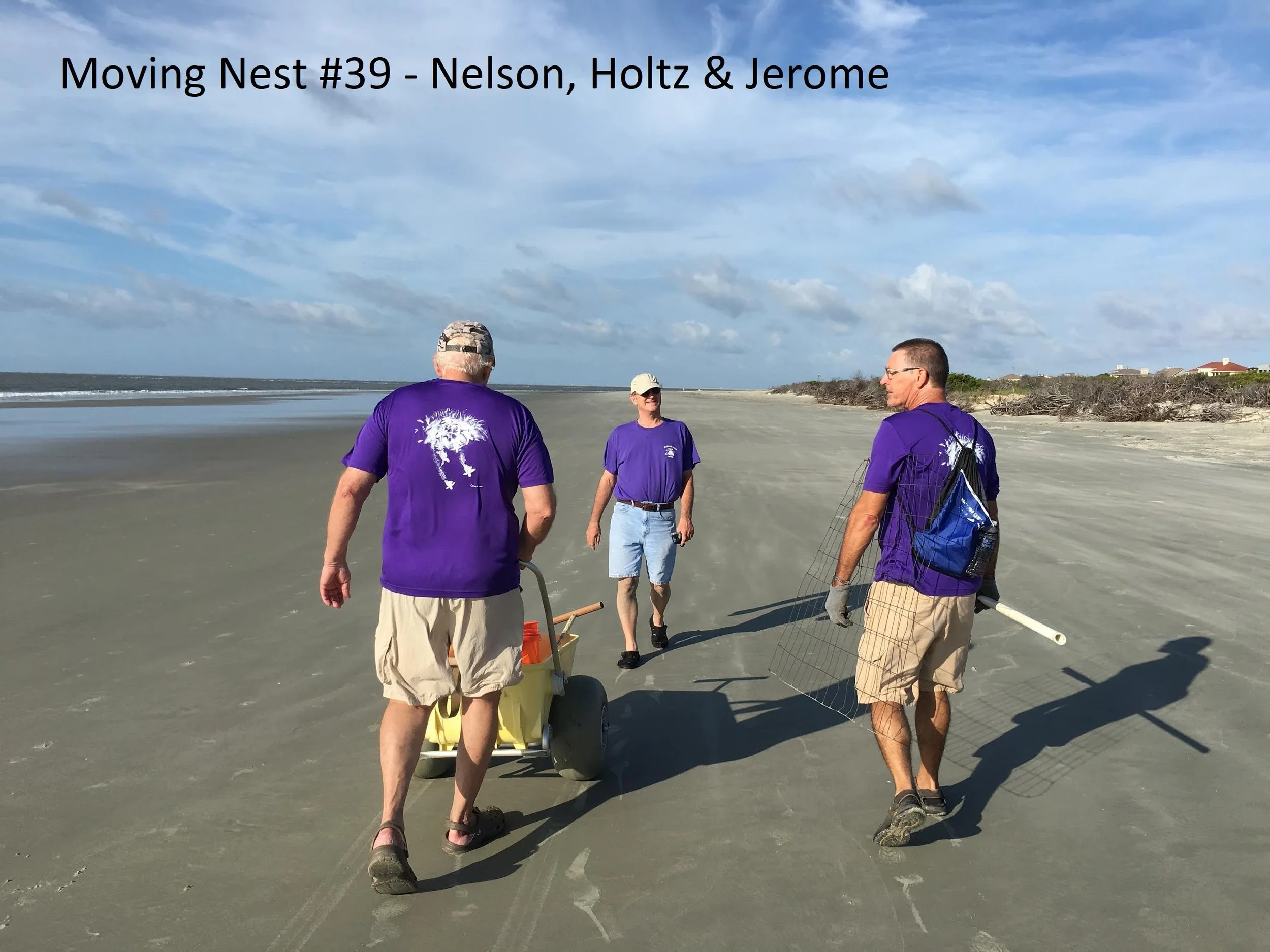 nest #39 - 17 2.jpg