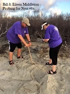 nest #64 - probing - 17.jpg