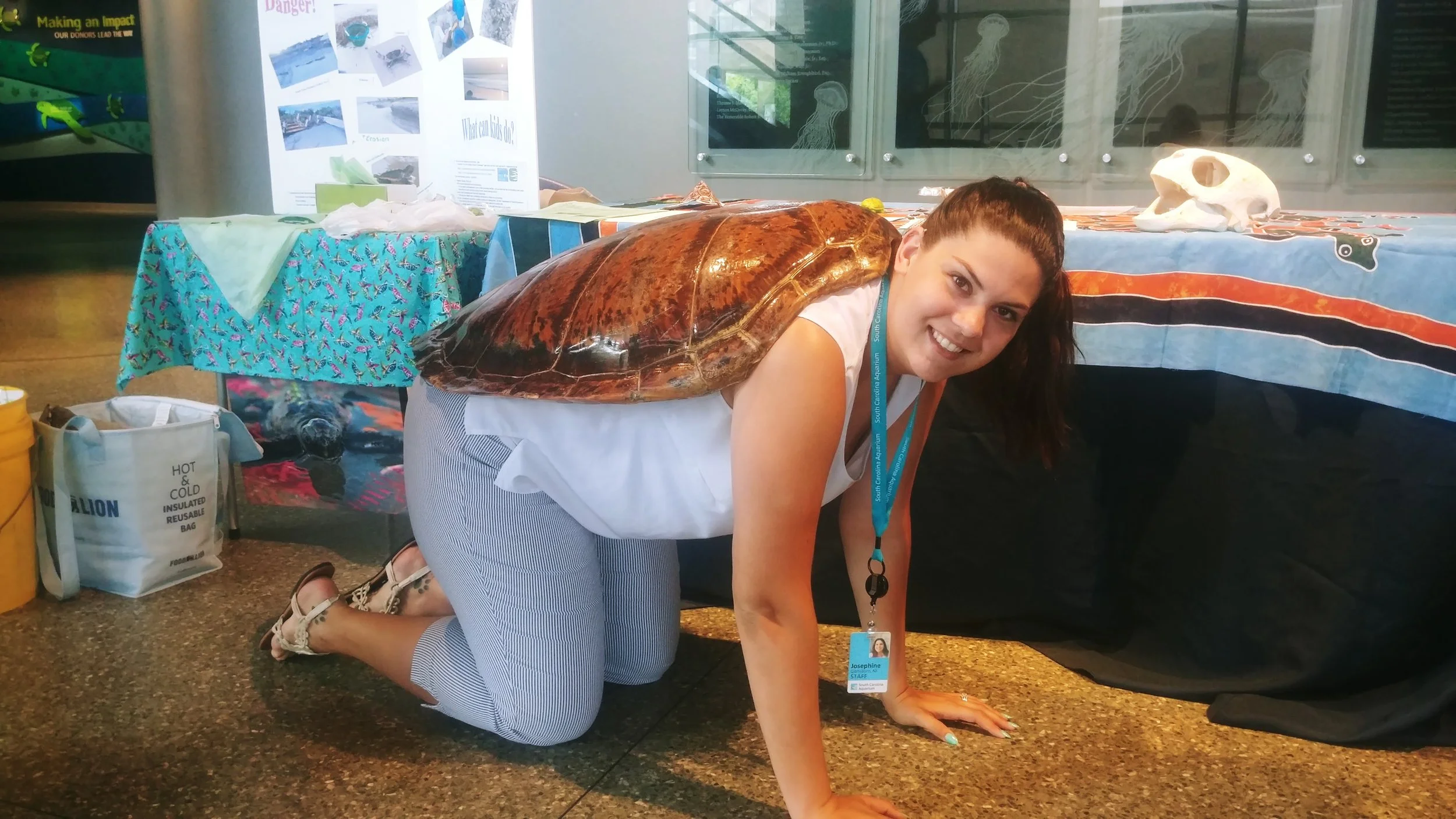 World Turtle Day 4 5-18.jpg
