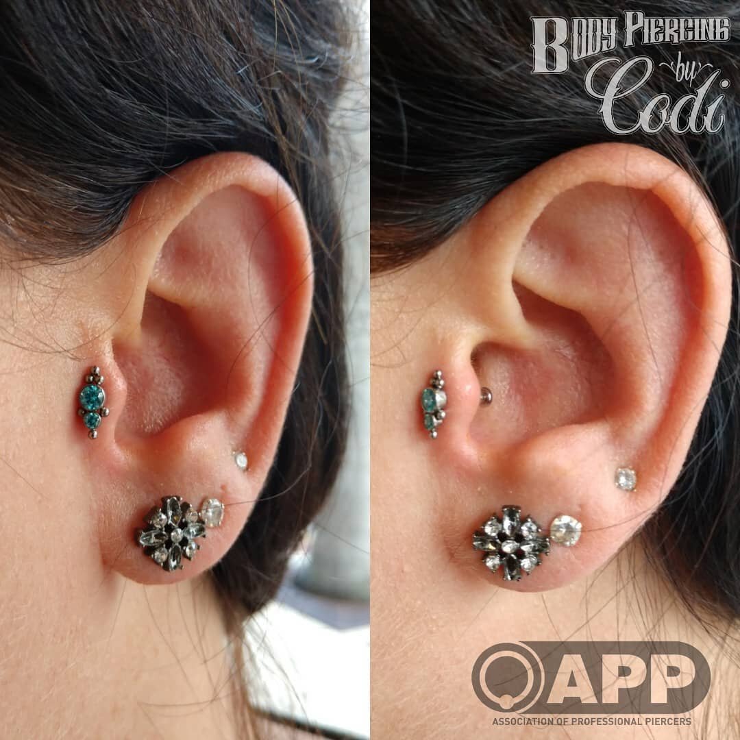 And another tragus 
#earpiercing #bling #bodypiercing #bodyjewelry #piercings #pretty #needfulthingsinc #APP #professionalpiercing #appmember @safepiercing #safepiercing #piercing #piercings #bodyjewelry #bodypiercing #fortmyers #fortmyerspiercing #s