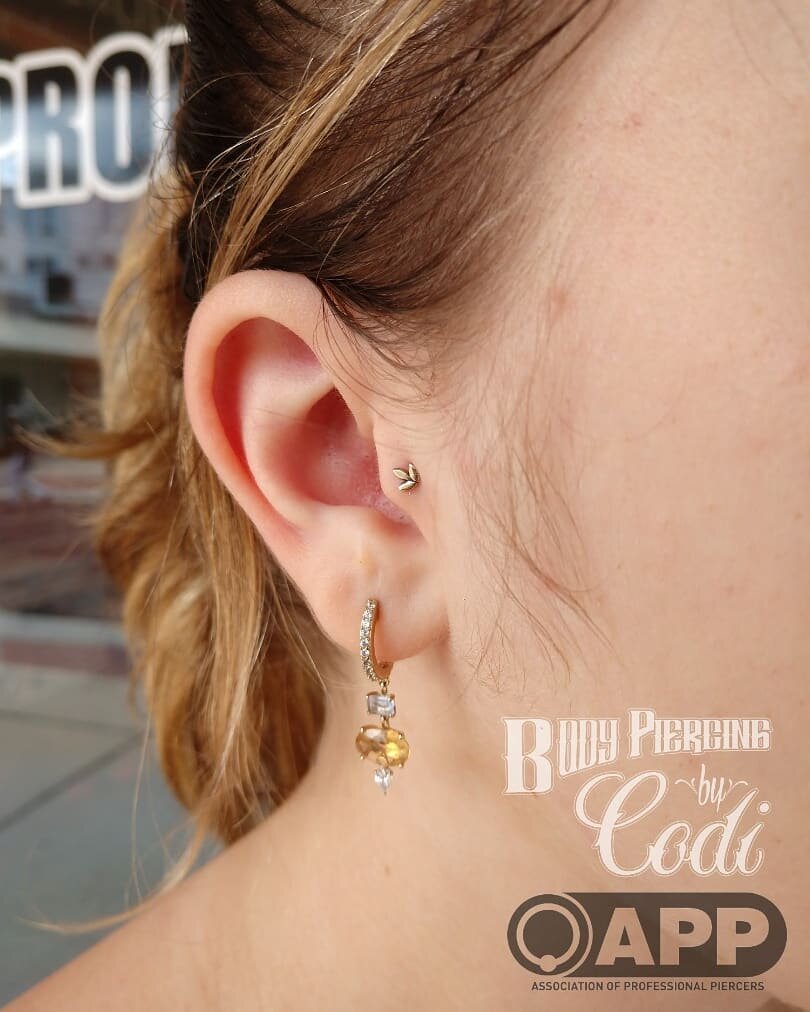 Tragus
#earpiercing #bling #bodypiercing #bodyjewelry #piercings #pretty #needfulthingsinc #APP #professionalpiercing #appmember @safepiercing #safepiercing #piercing #piercings #bodyjewelry #bodypiercing #fortmyers #fortmyerspiercing #swfl&nbsp; #pi