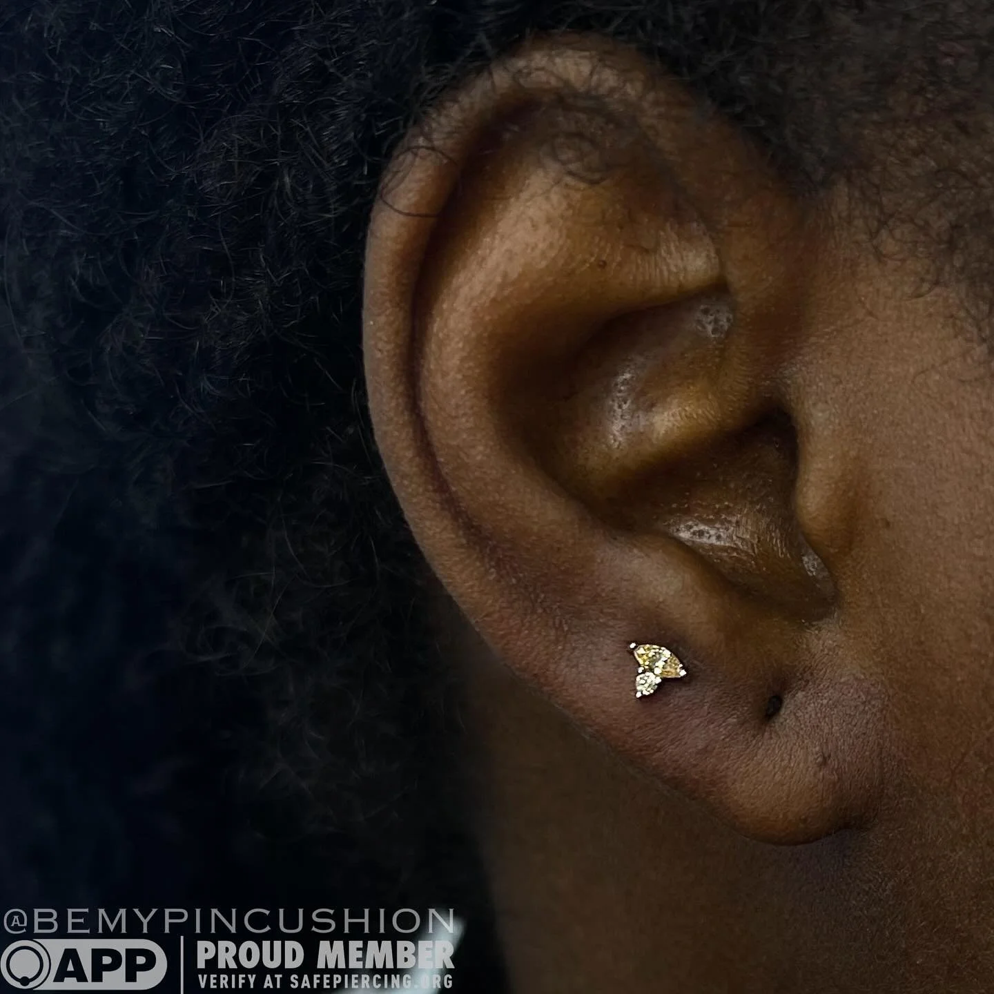Cute little "Matcha" from BVLA on this babe. Thanks for looking!
.
.
.
.
#piercing #bodypiercing #safepiercing #earpiercing #earlobe #finejewelry #bodypierer