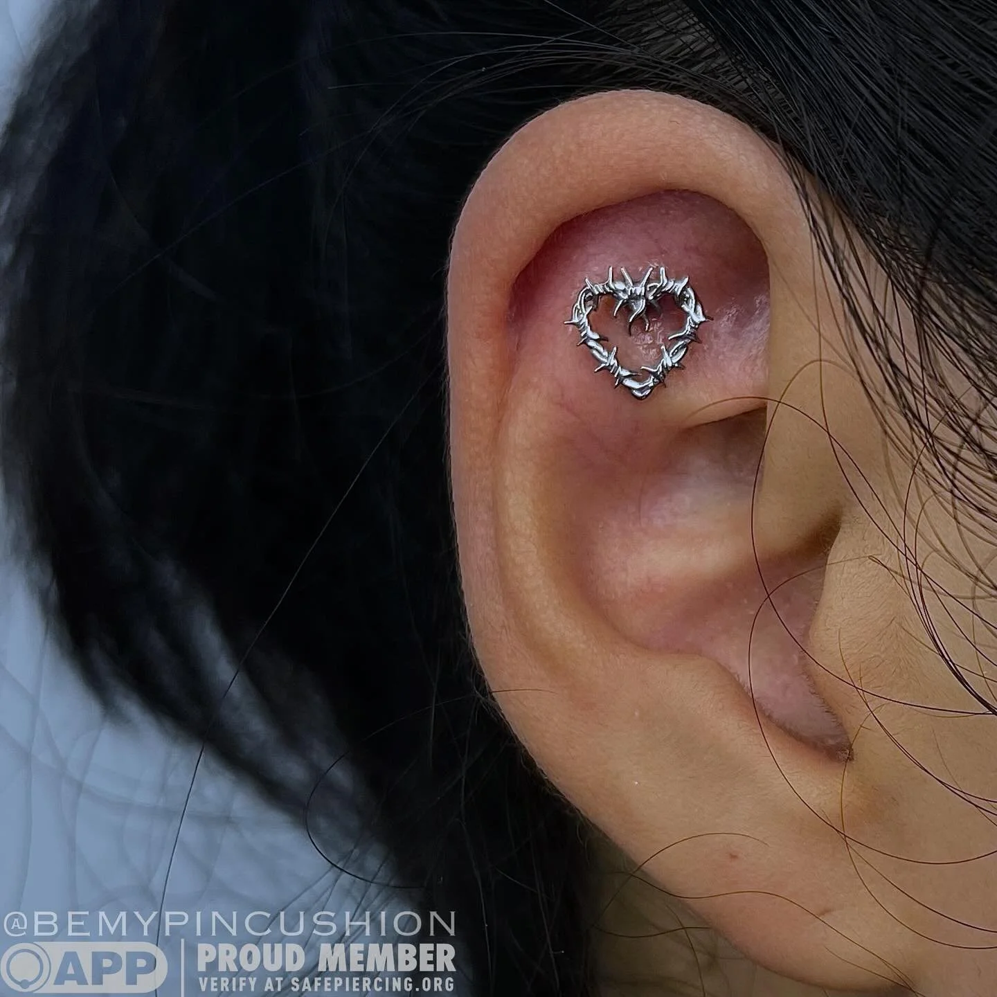 FINALLY got to use this stunning white gold barbwire heart from @bvla. π€βοΈ
.
.
.
.
#flatpiercing #helixpiercing #piercing #piercings #earpiercing #bodypiercing #bodypiercer