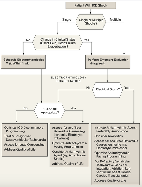 JAMA 2006 reference.