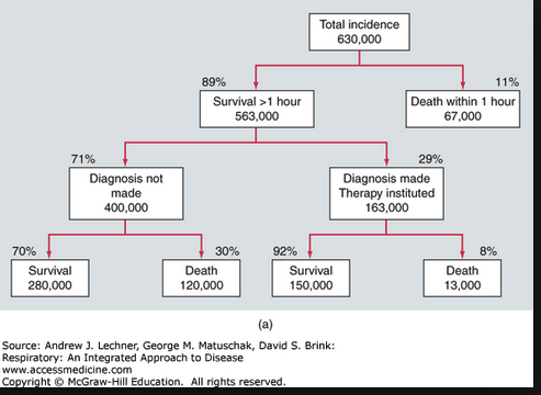 This slide just gives an idea of the total incidence of PE and PE deaths in the US. As a comparison MVC’s account for 30-40,000 deaths/year and drug overdoses account for approximately 80,000 deaths/year.