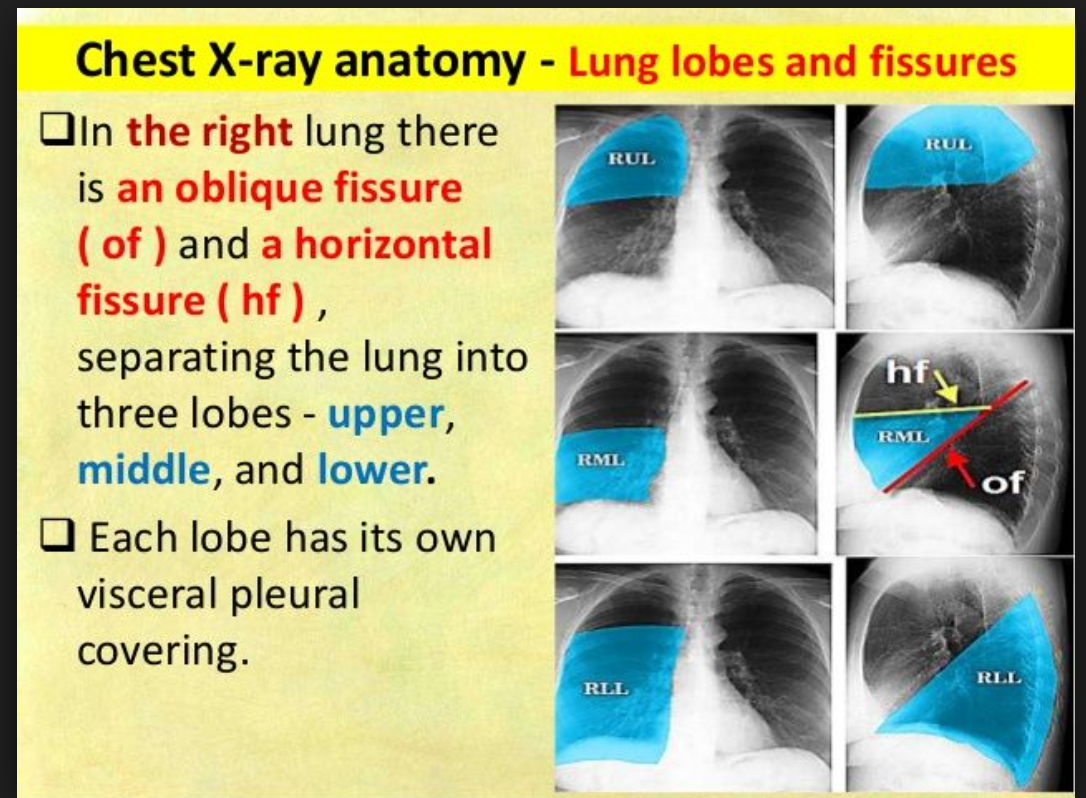 Conference Notes 12192018 — ACMC EM