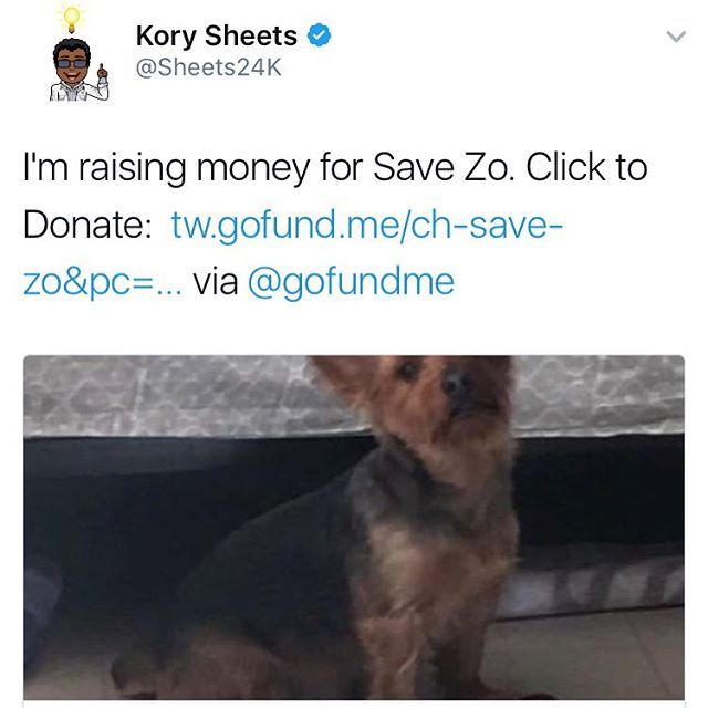 If you know my you know I have 2 pet yorkies that are more like my Children. But tonight Zo the oldest of the two was hit by a car. The jerks didn't even stop. Thank God someone witness this happen and was able to help #saveZo and called me. Please if you have a pet or have ever been in this position please repost this and share it as many times as you can. Thank you. http://tw.gofund.me/ch-save-zo&pc=tw_co_share_m&rcid=254d959d2e9e472aaceb66966ec2417c Don't like this post without donating or sharing please this isn't here for like views or anything else. He needs real help not likes.