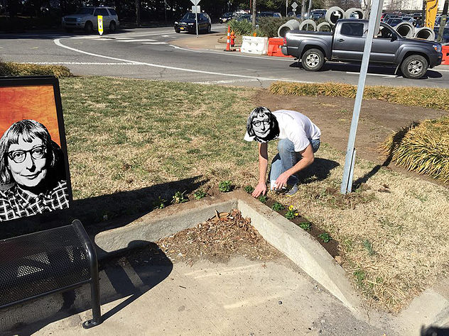 Planting Bulbs