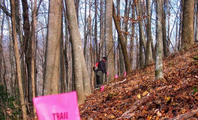 Flagging trail.jpeg