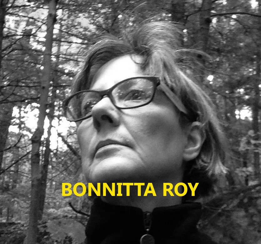 Bonnitta Roy (Consciousness - Health - Complexity) [engl.]
