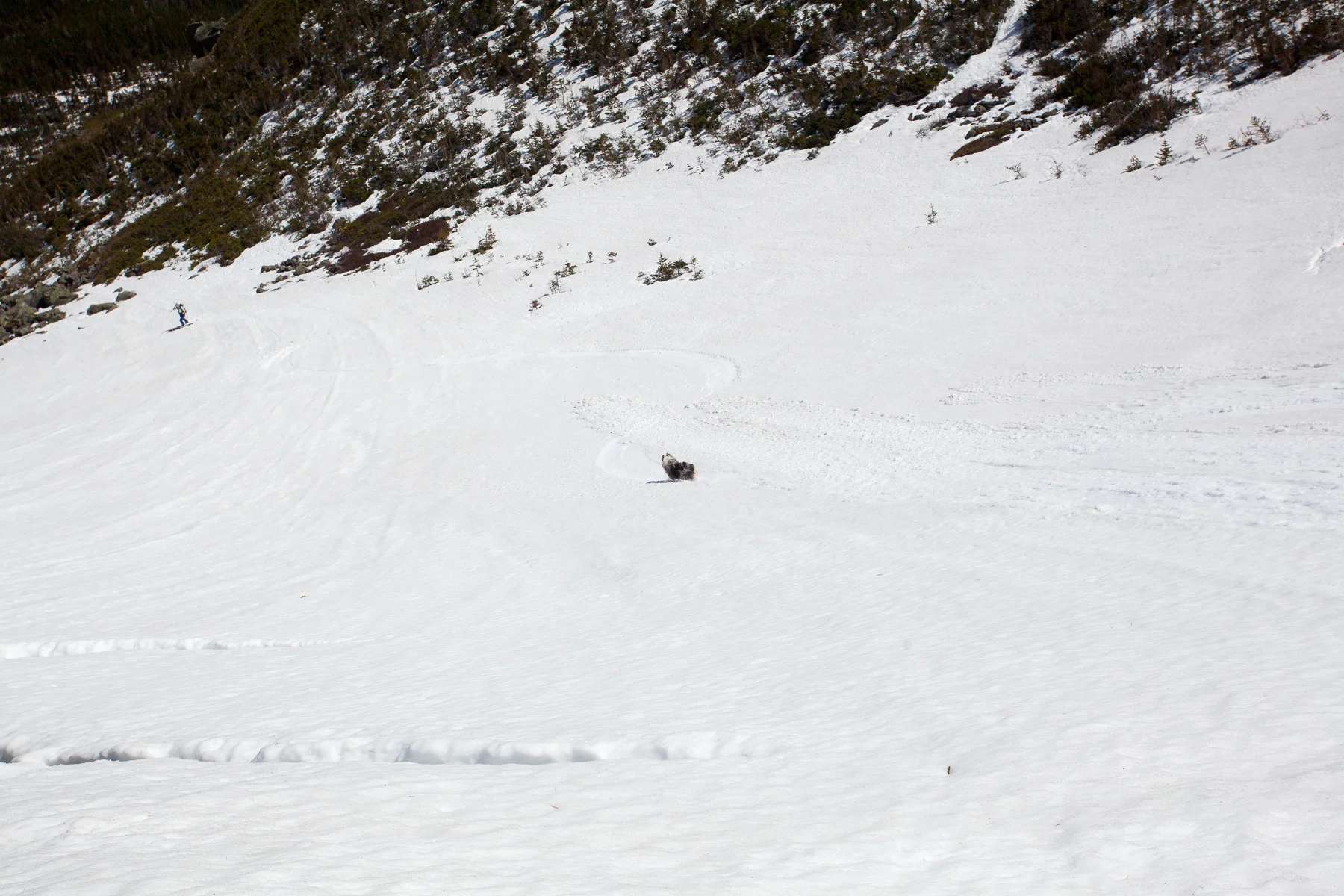 Descending the rest of the snowfields.