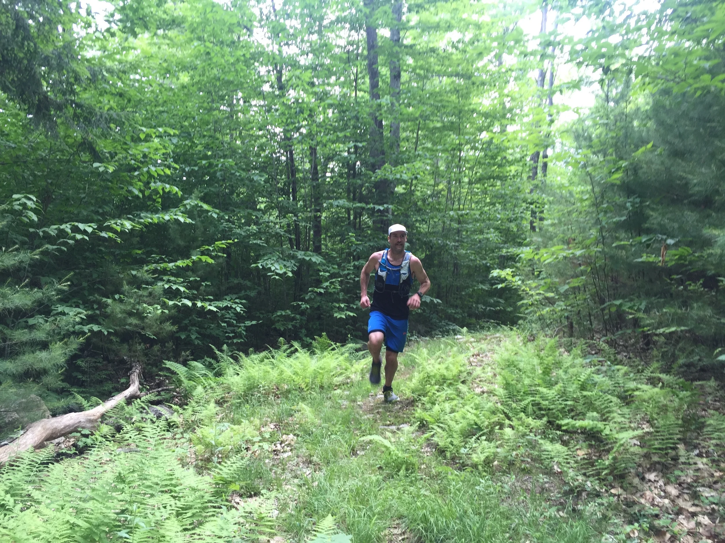 Sunday "Recovery" Run.