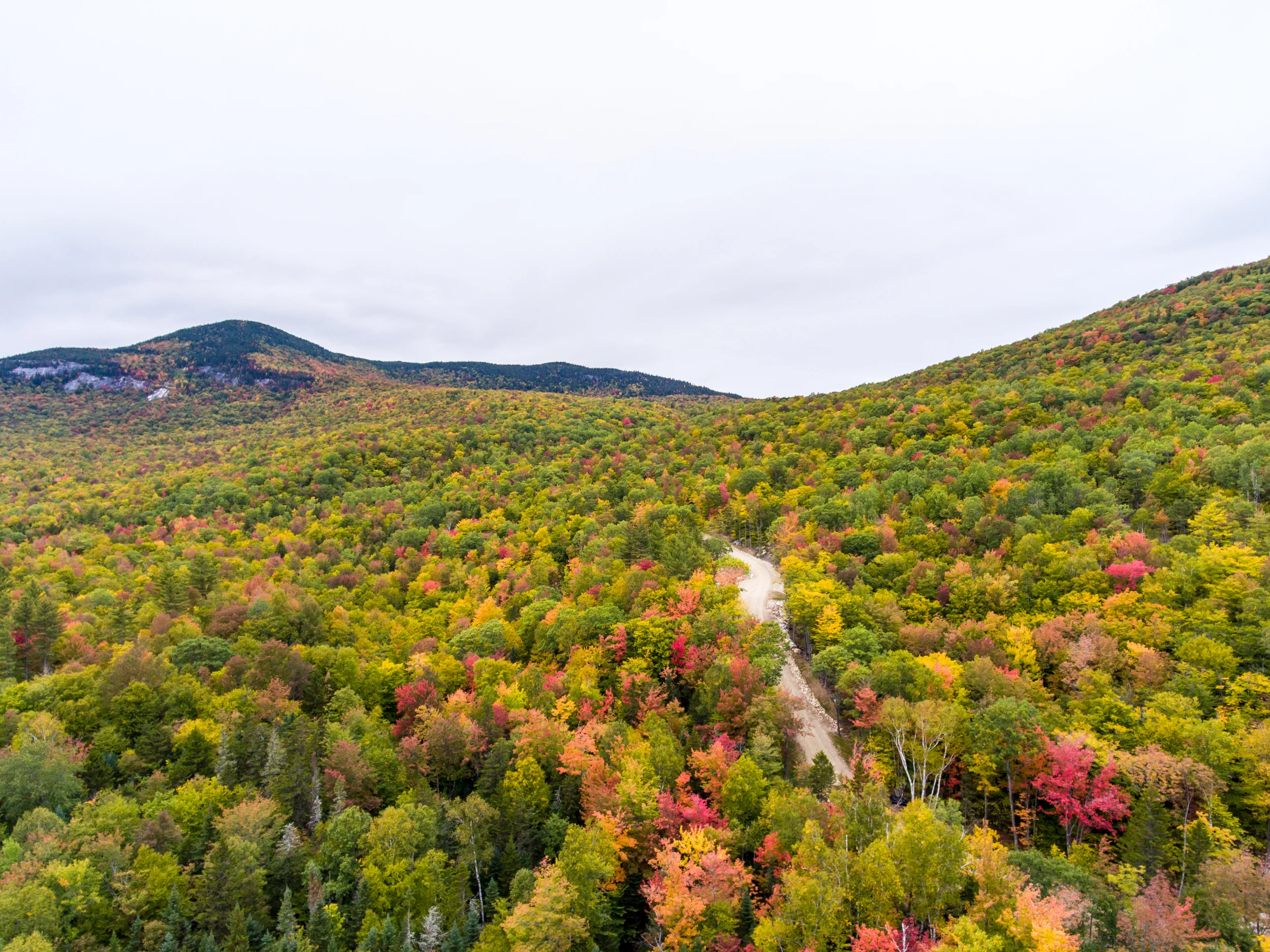 Foliage in Maine - October 1, 2016