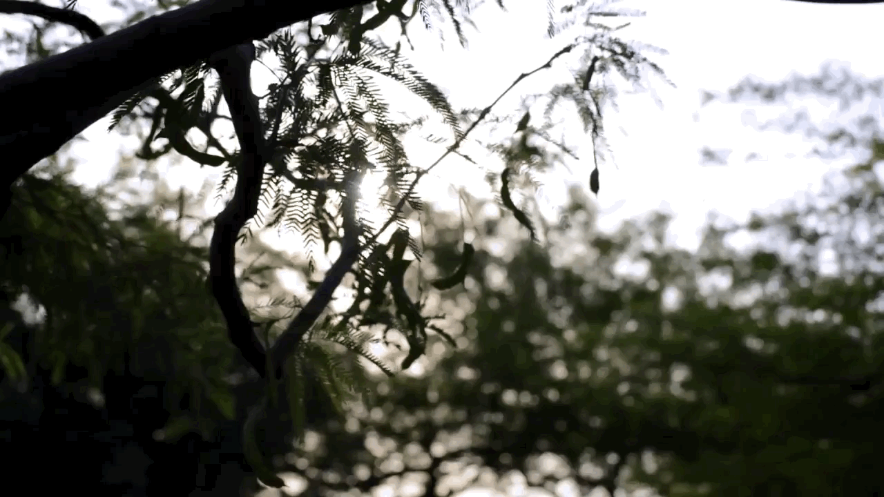 2016-02-18 15_32_20.gif