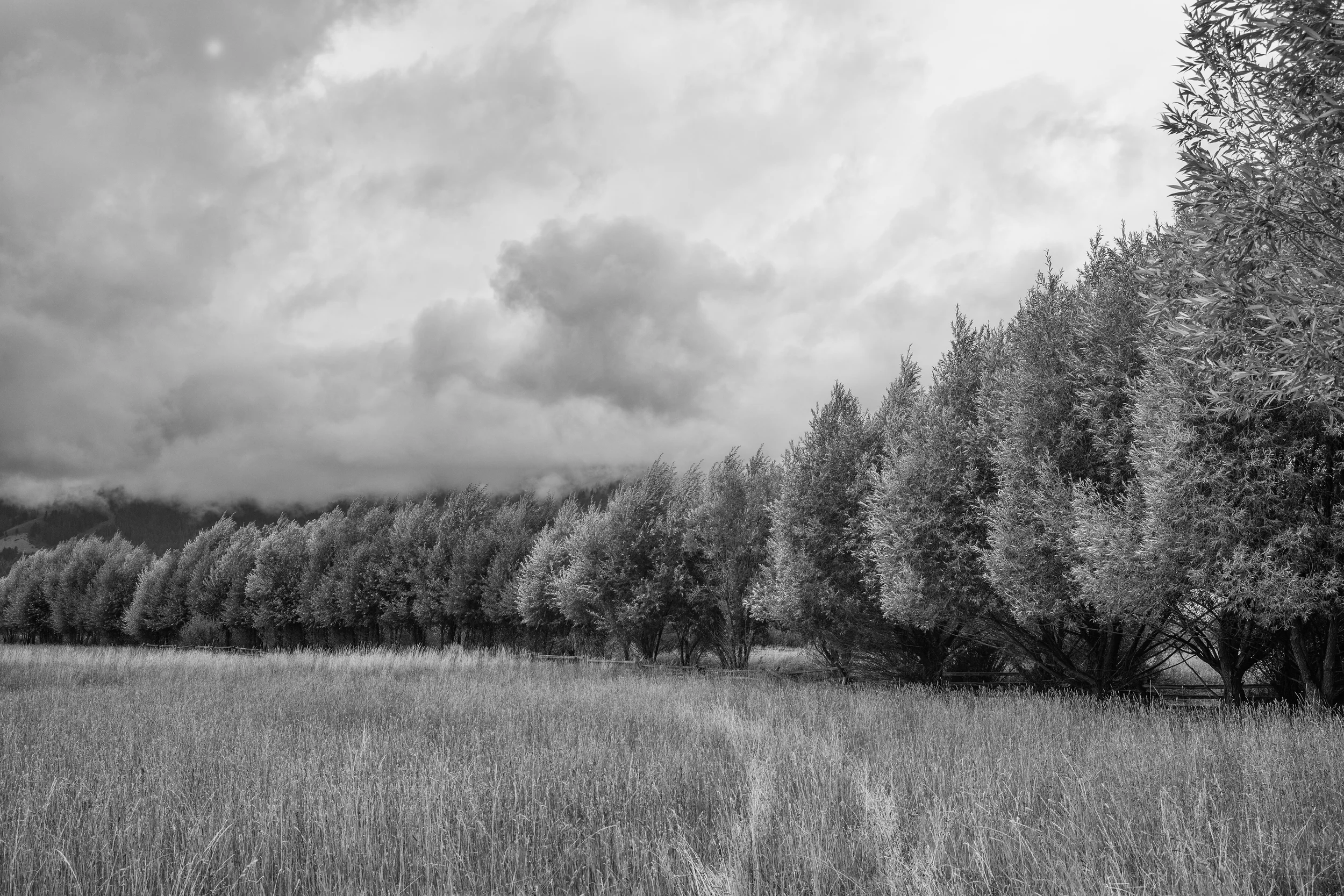 Tetons In Monochrome.jpg