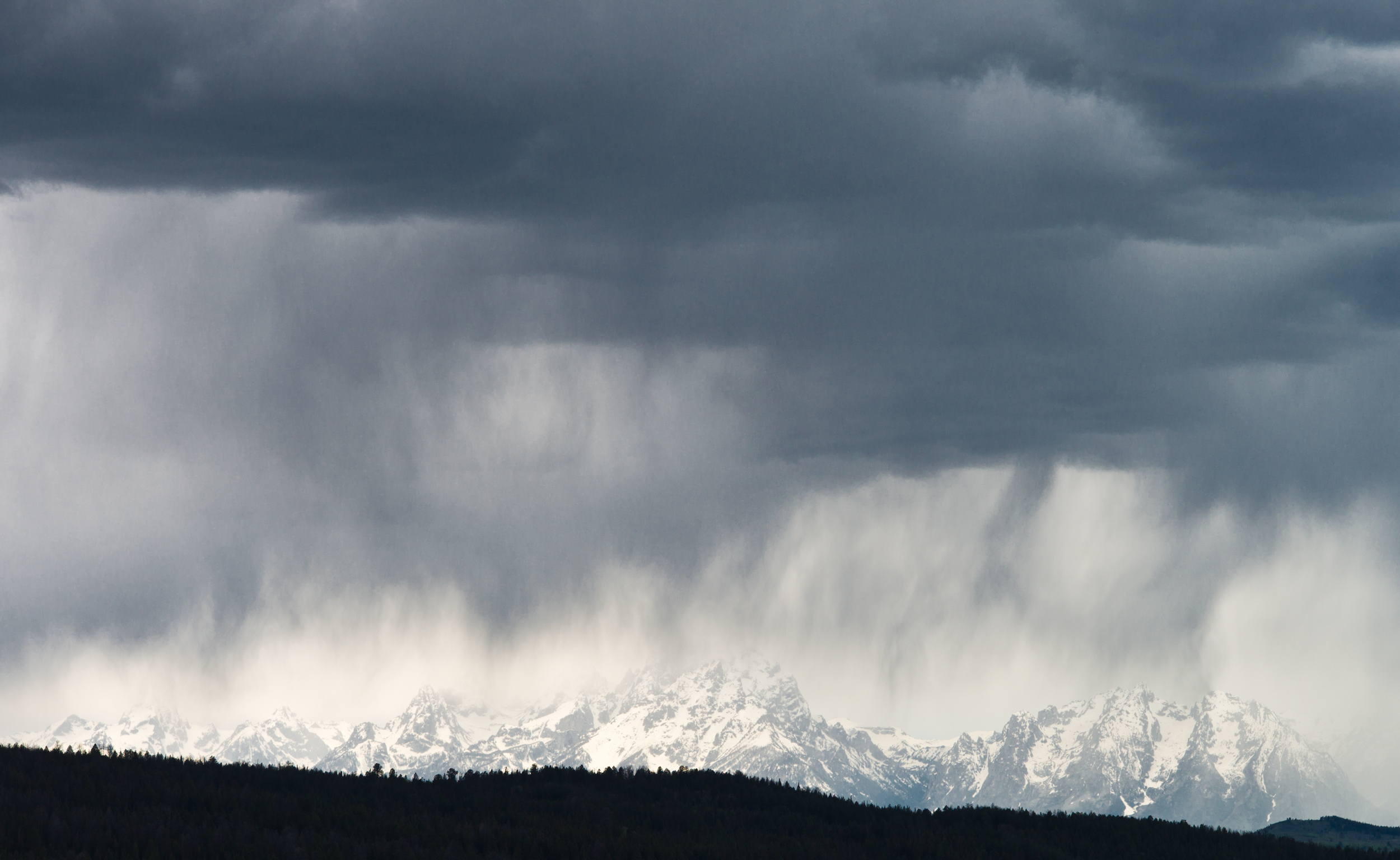 Greater Yellowstone_-4.jpg