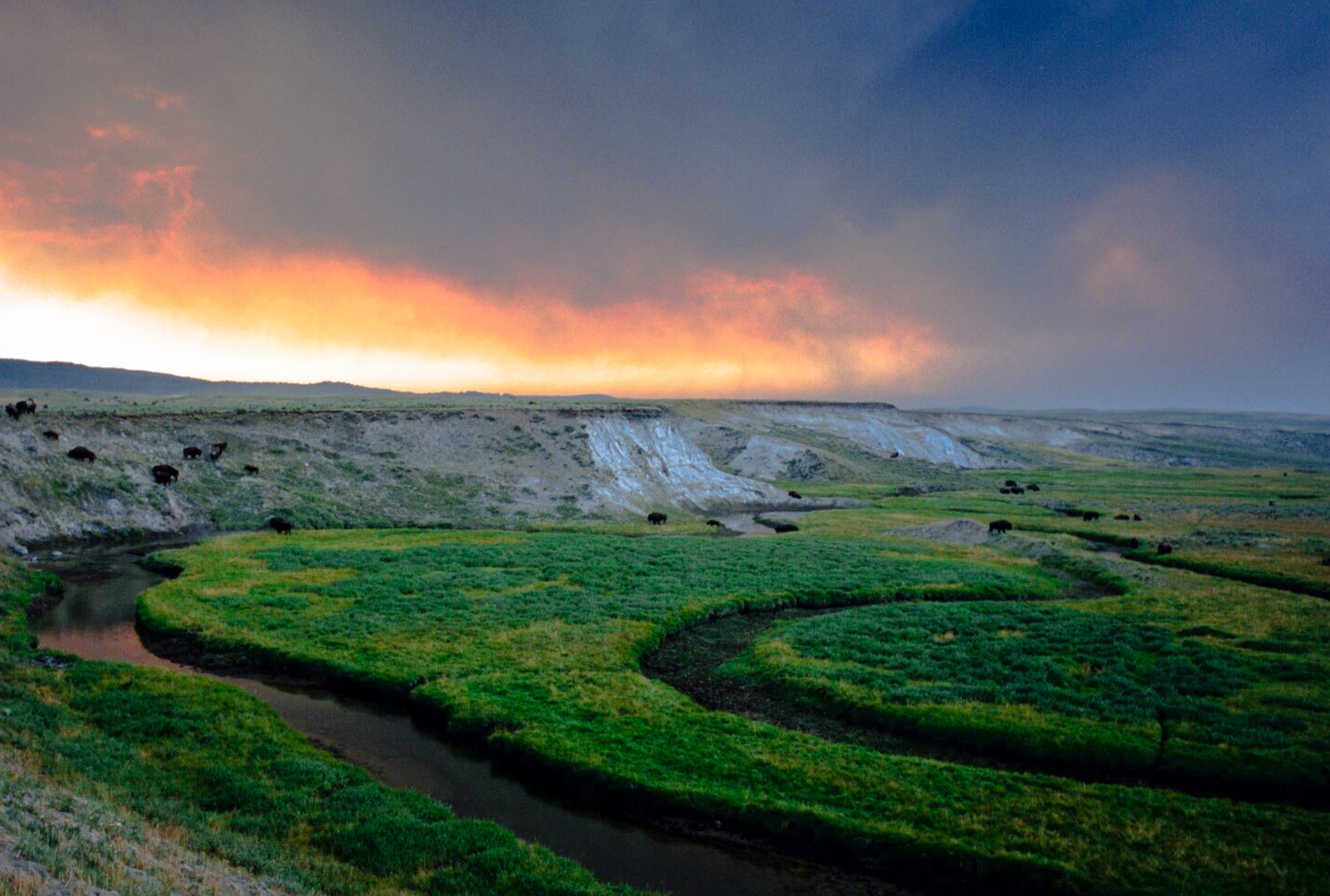 Greater Yellowstone_-10.jpg