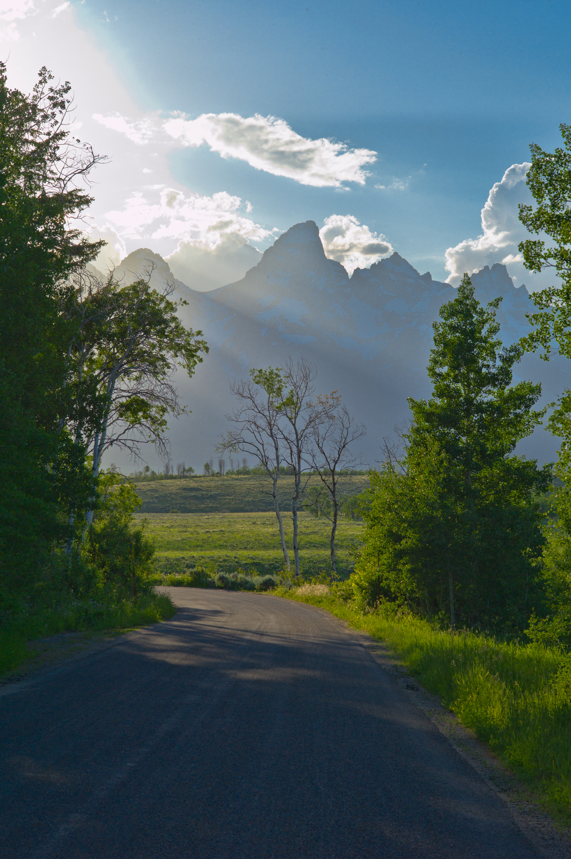 Greater Yellowstone_-15.jpg