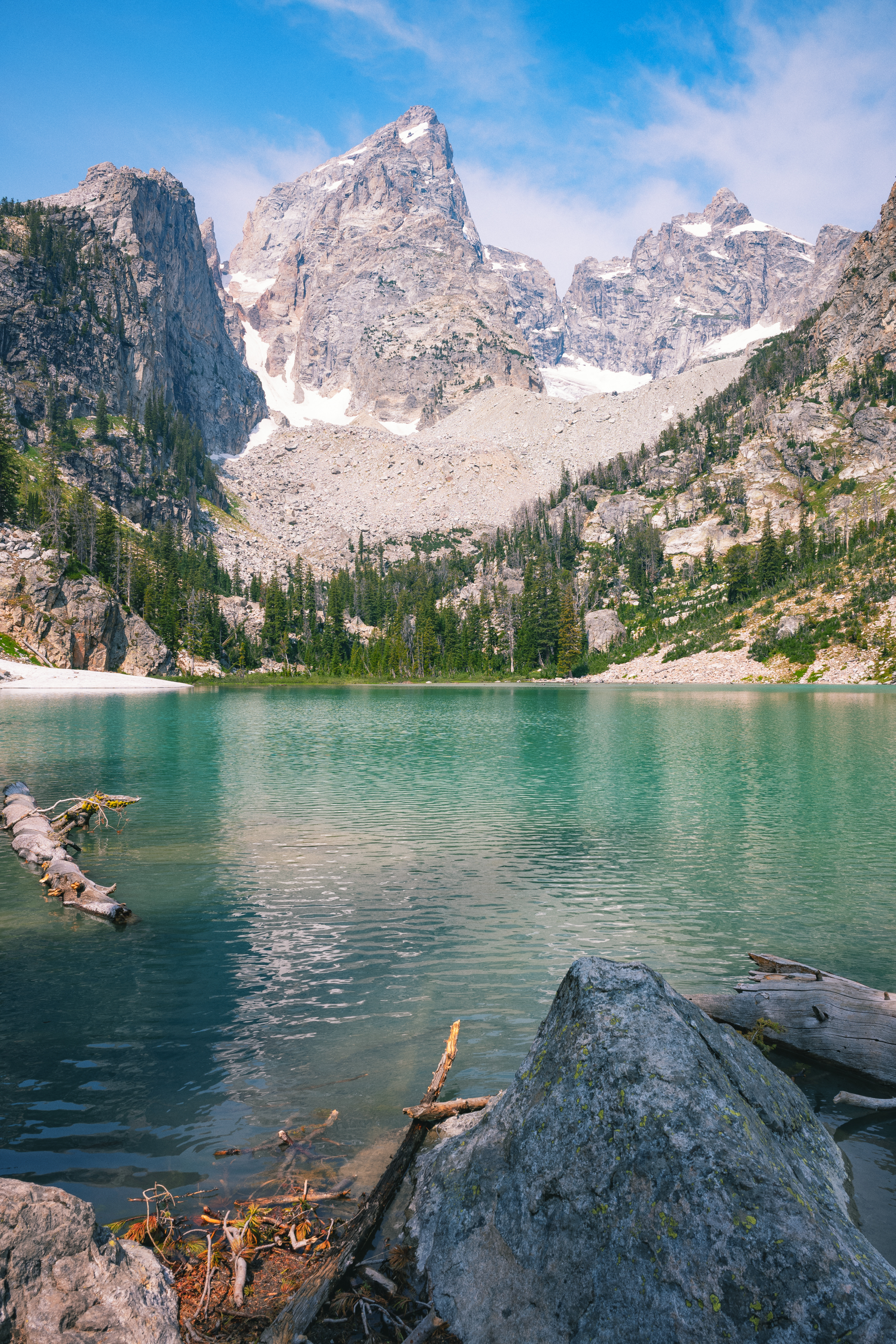 TFRenzy Photo Color Yellowstone.jpg