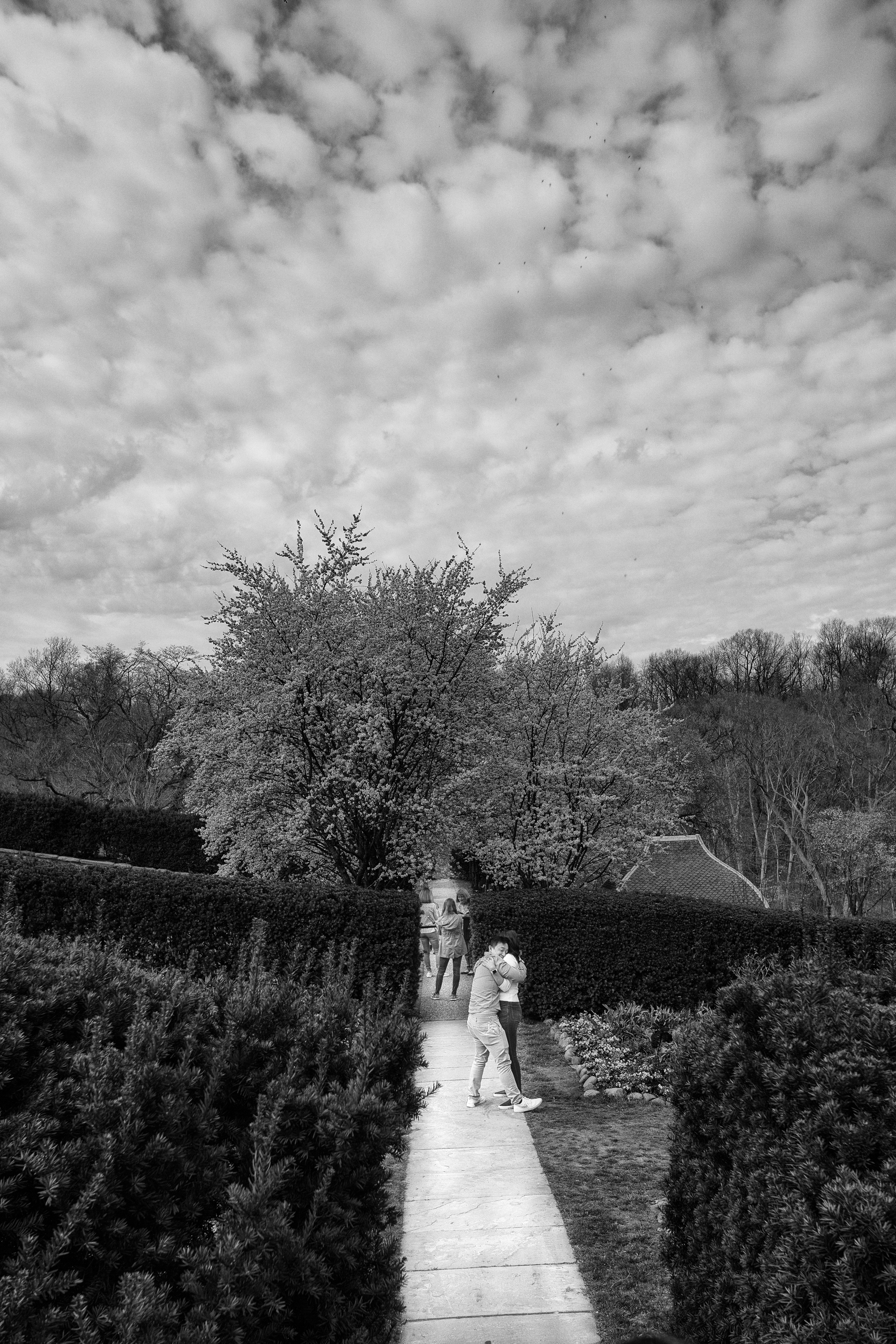 New for Website-9.jpg