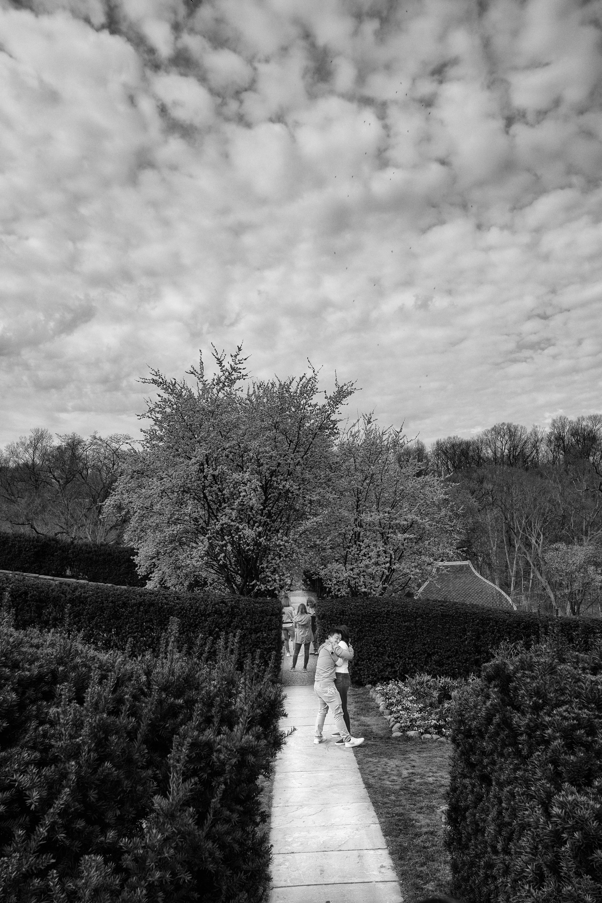 New for Website-9.jpg