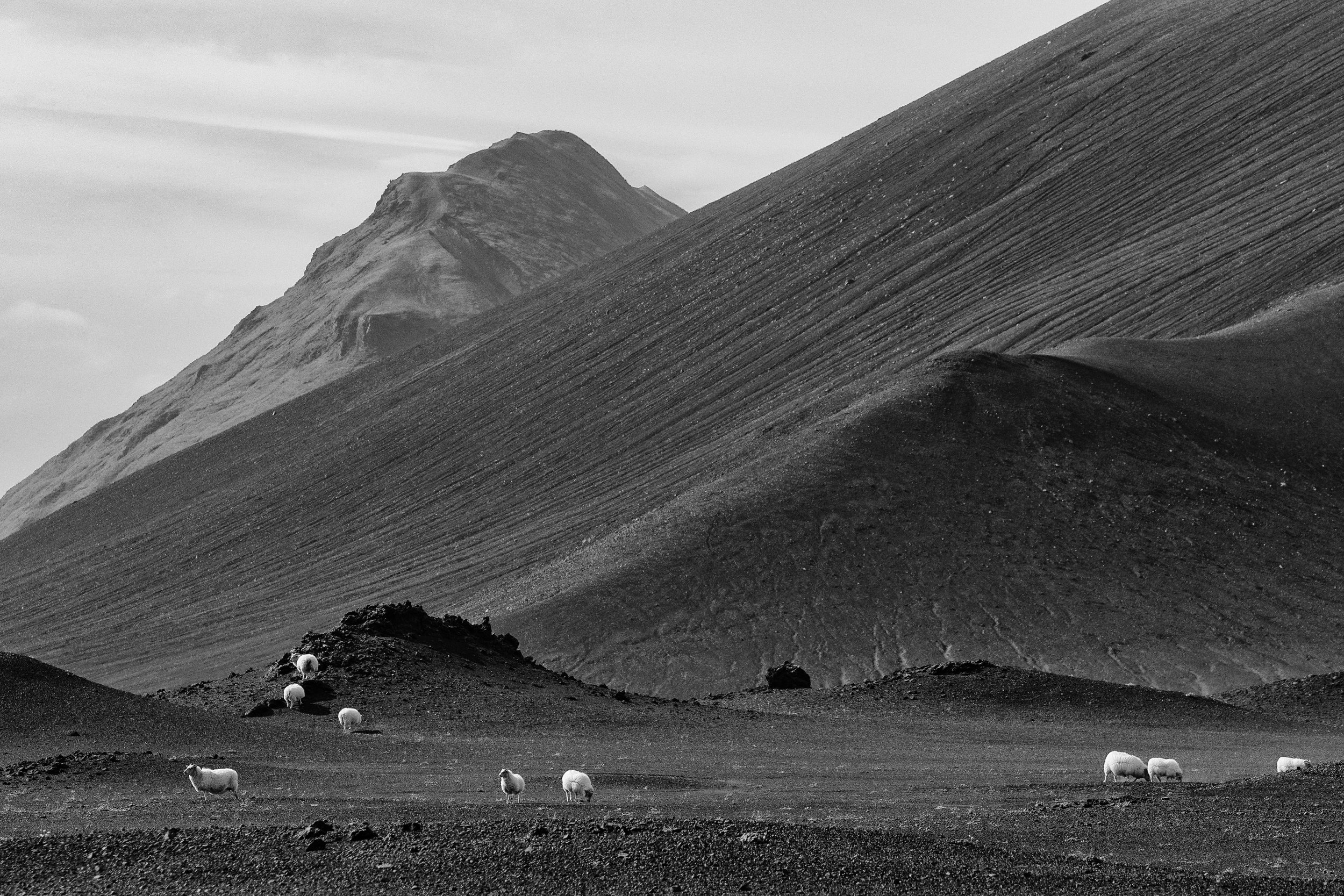 Iceland Square Space SUPPLEMENT-4.jpg