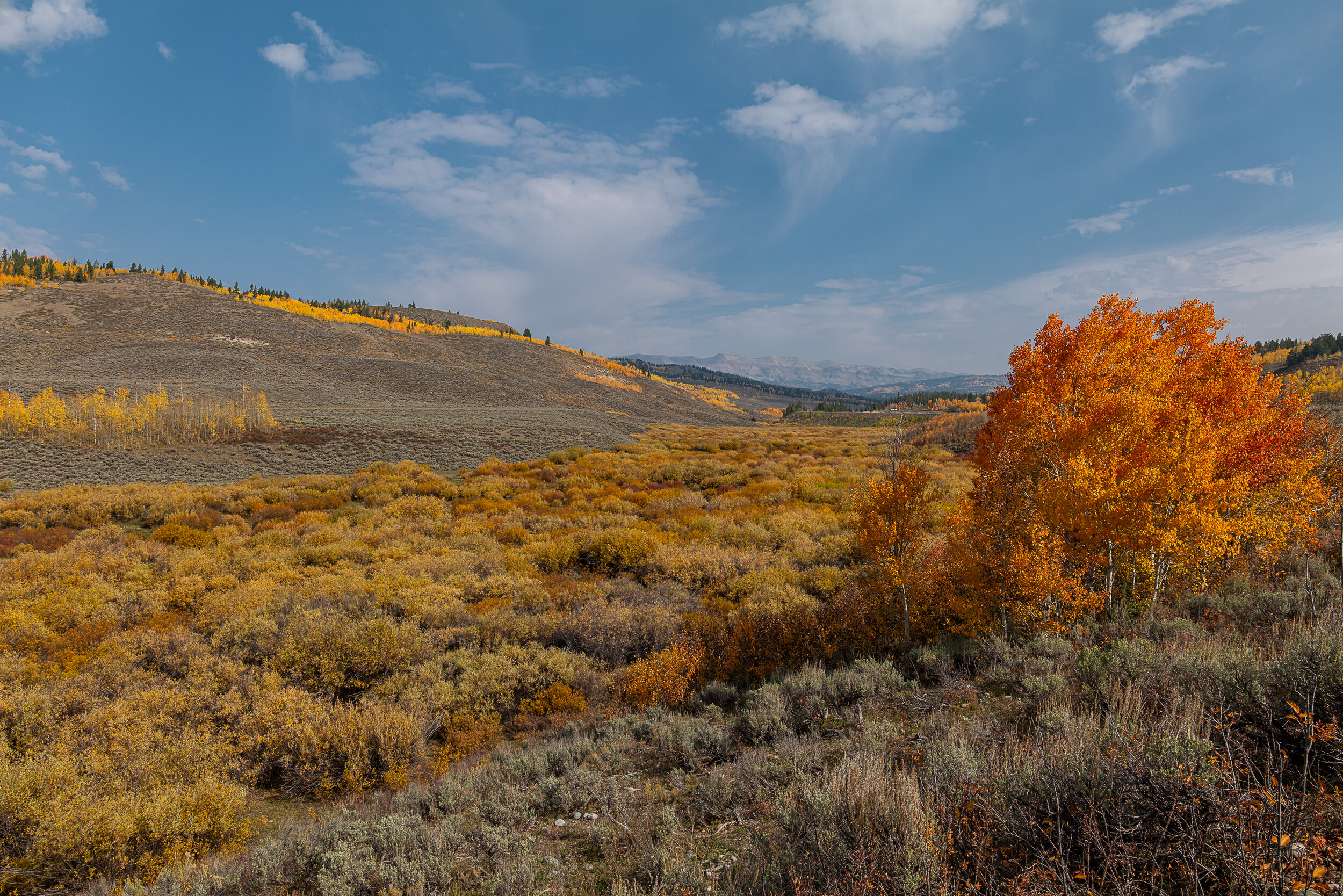The Road Between Hoback and Pinedale