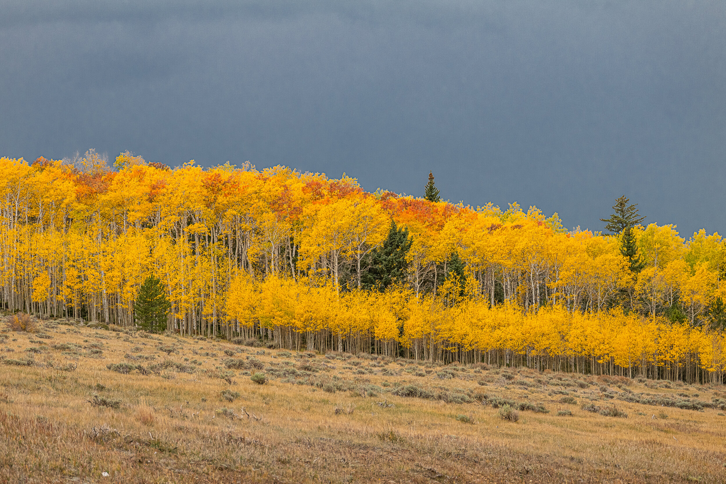 The Colors of Utah 1